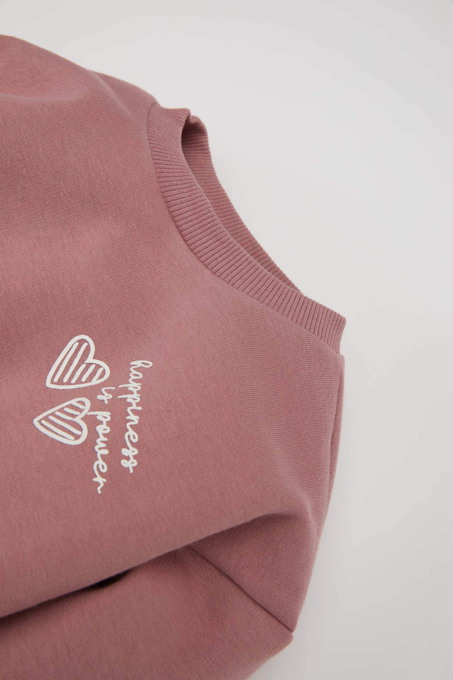 Baby Girl Printed Sweatshirt Elastic Waist Sweatpants 2 Piece Set