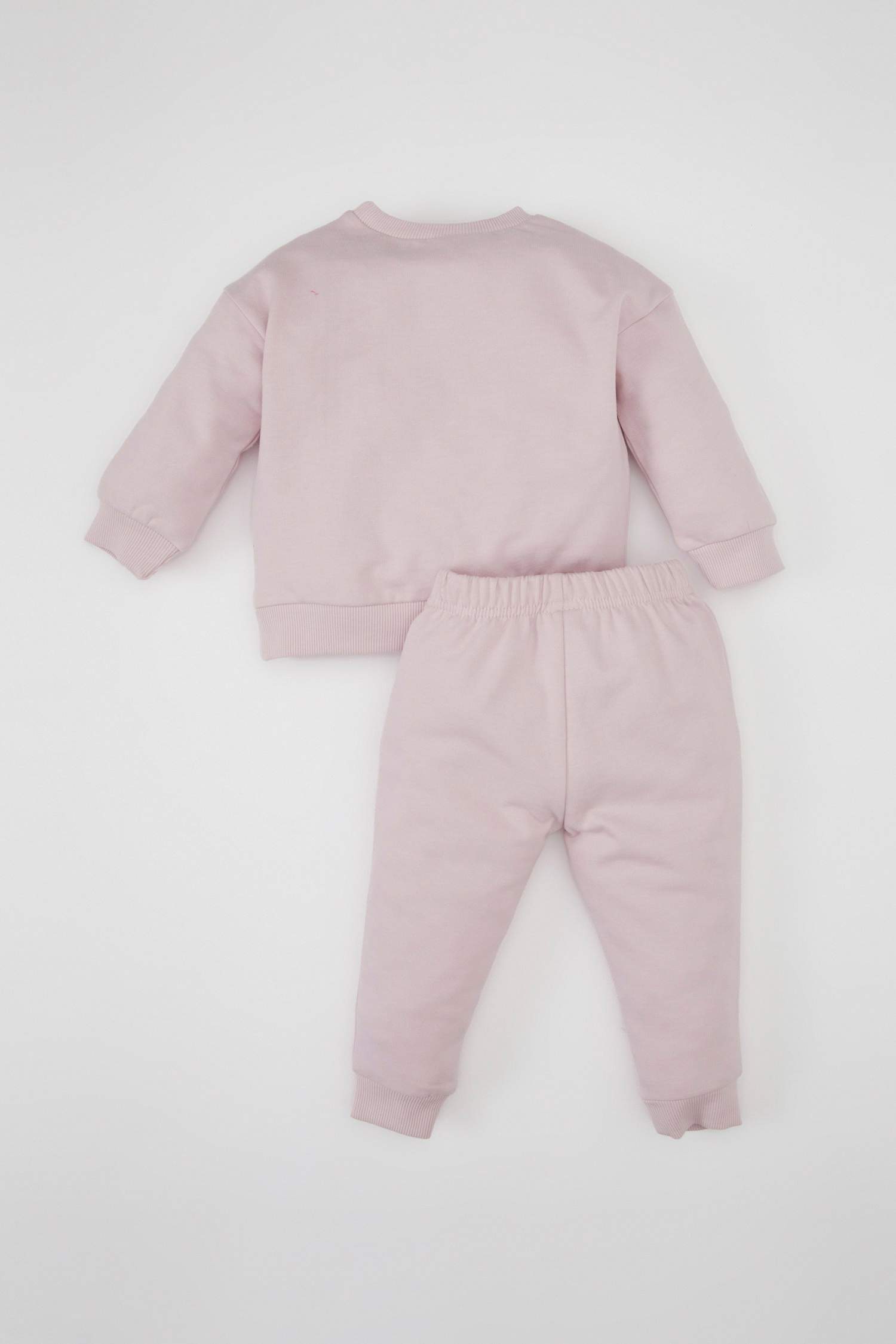 Baby Girl Printed Sweatshirt Sweatpants 2 Piece Set