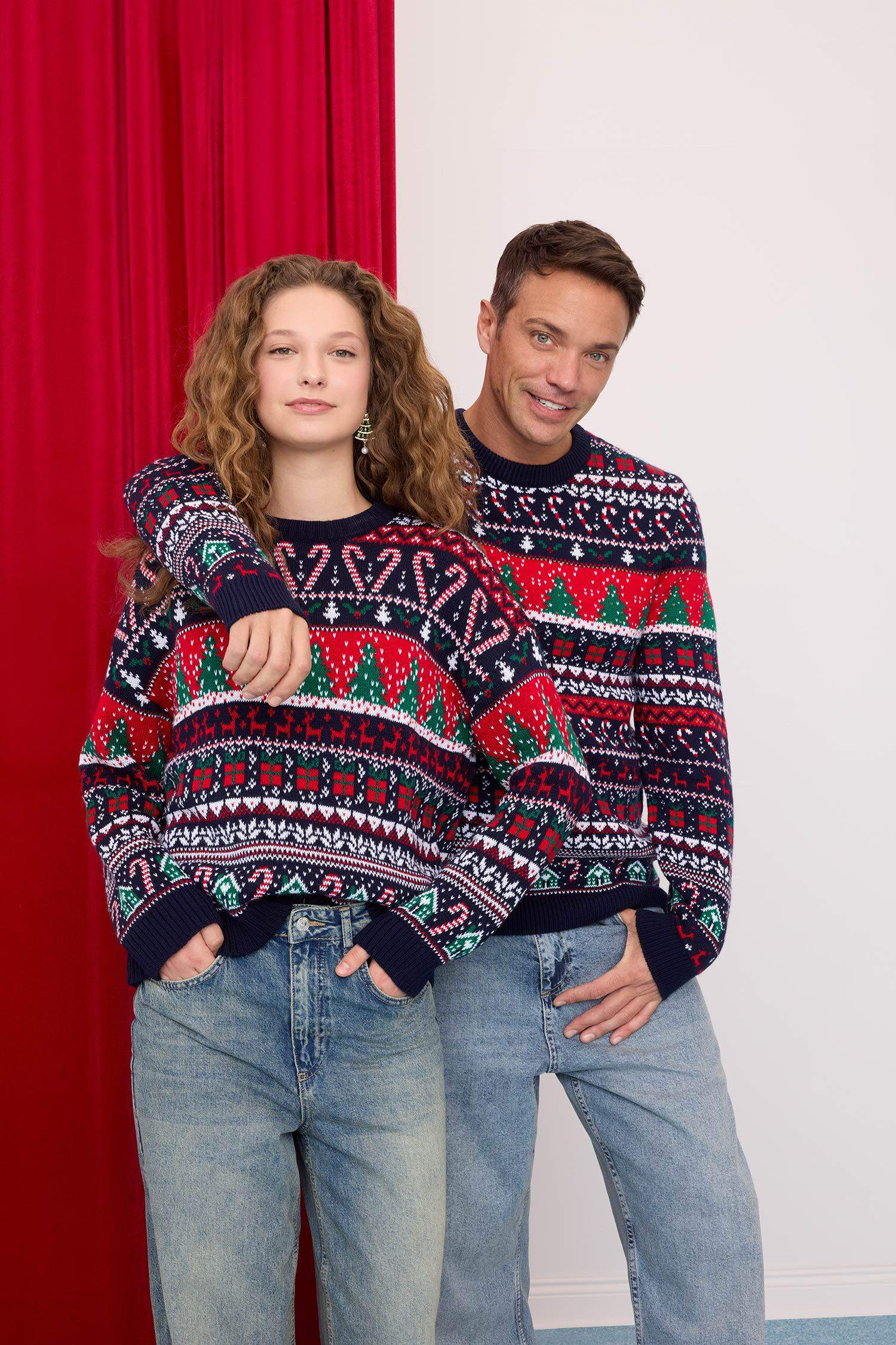 Regular Fit Crew Neck Knitwear Pullover