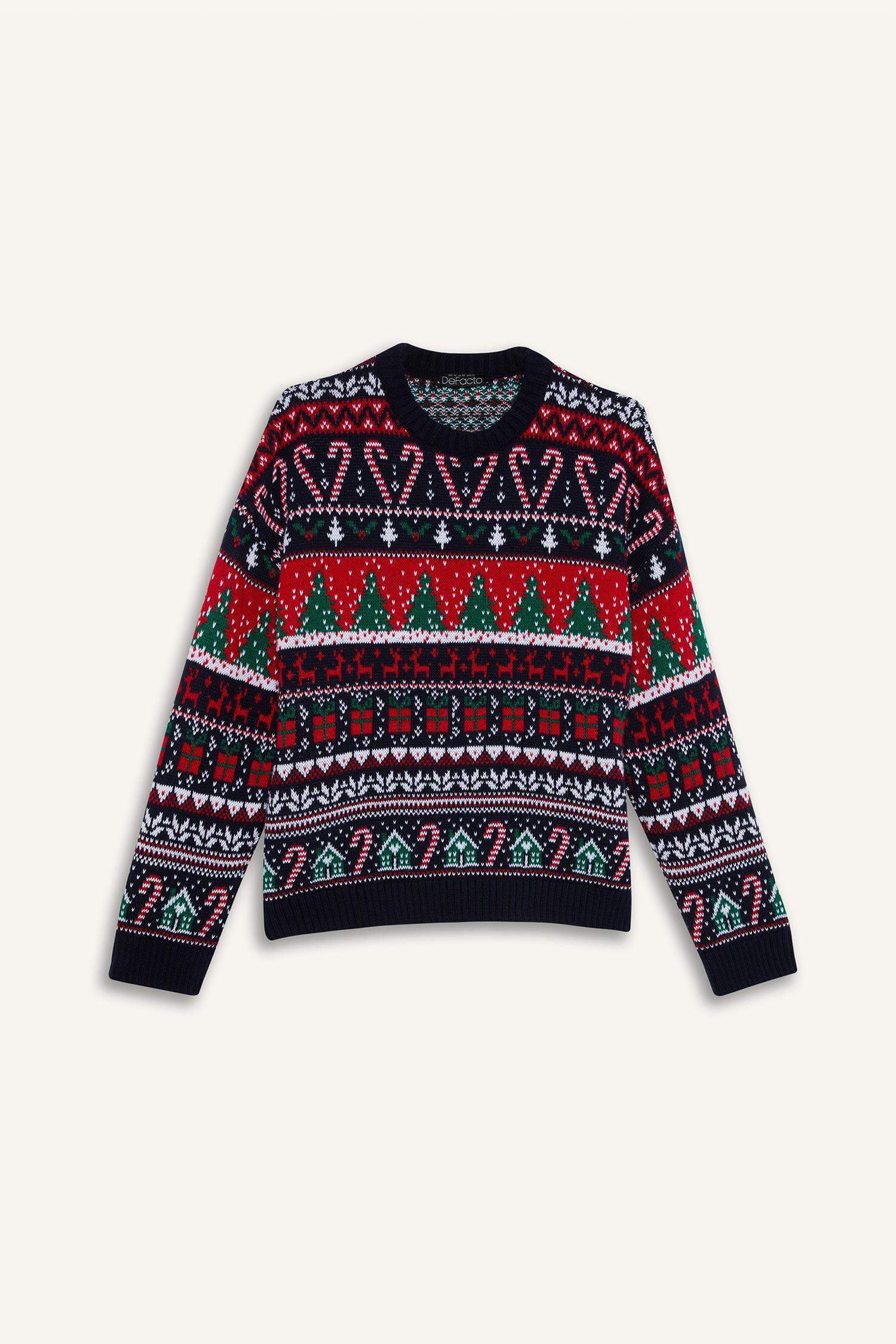 Regular Fit Crew Neck Knitwear Pullover