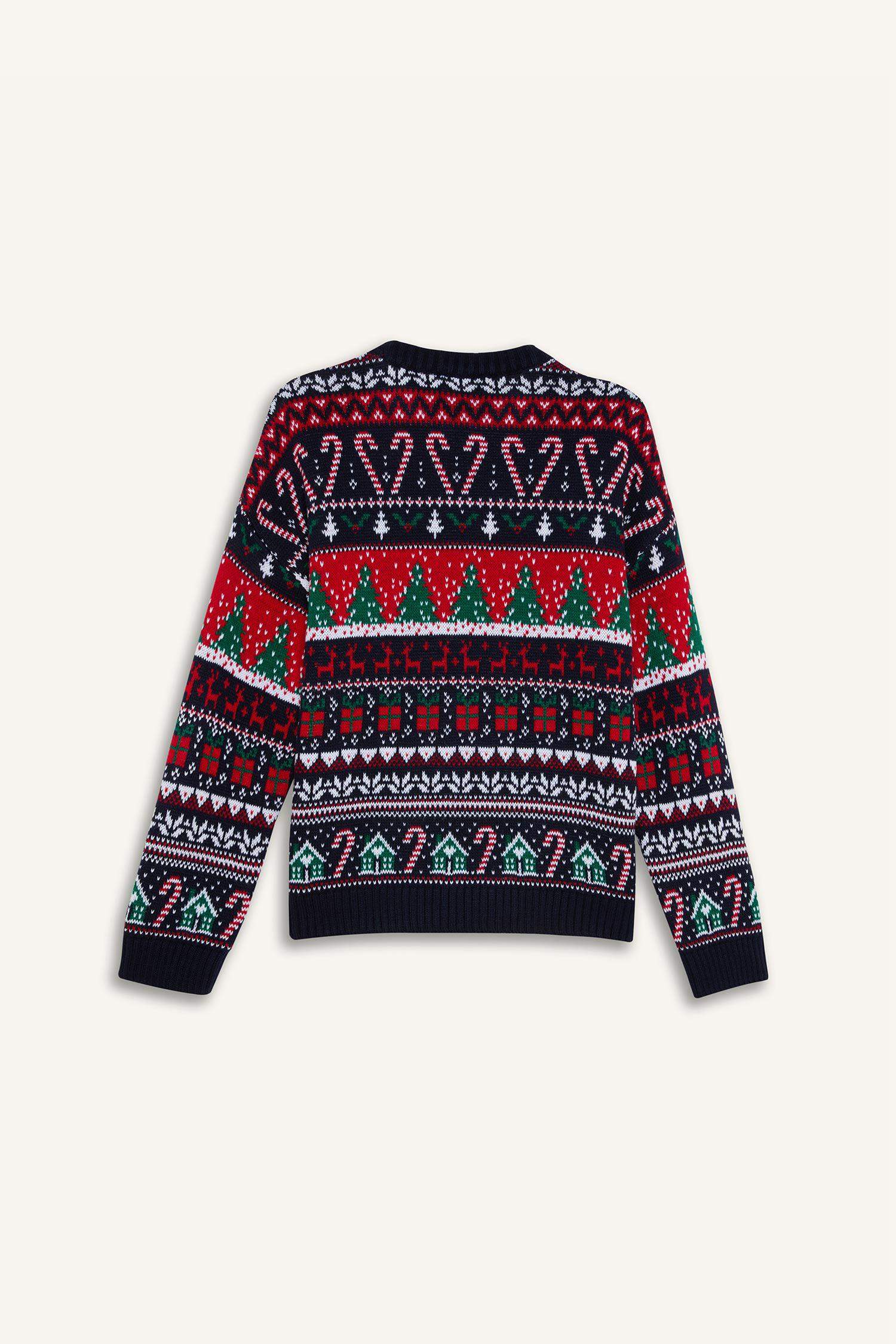 Regular Fit Crew Neck Knitwear Pullover