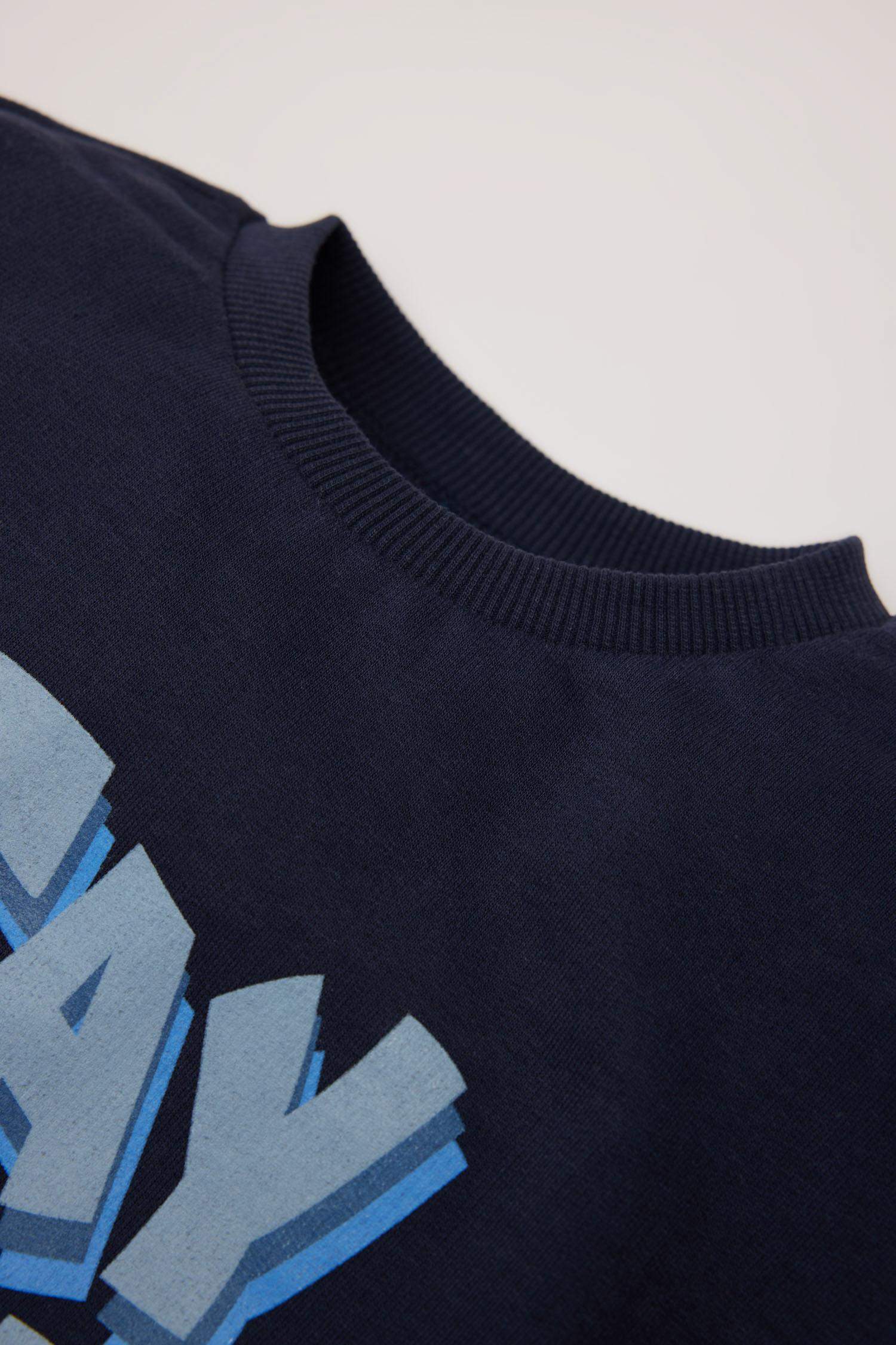 Regular Fit Slogan Crew Neck Sweatshirt