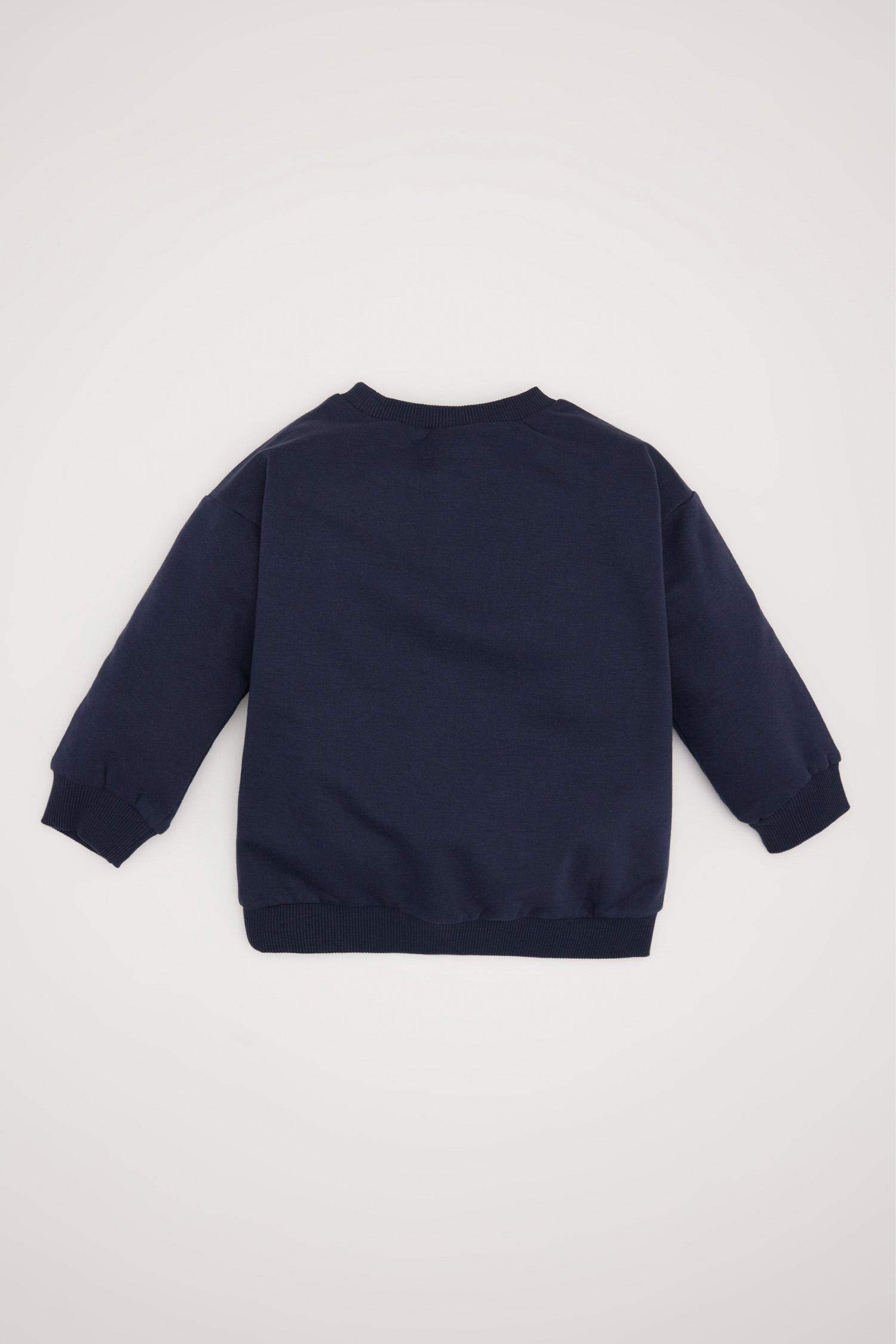 Regular Fit Slogan Crew Neck Sweatshirt