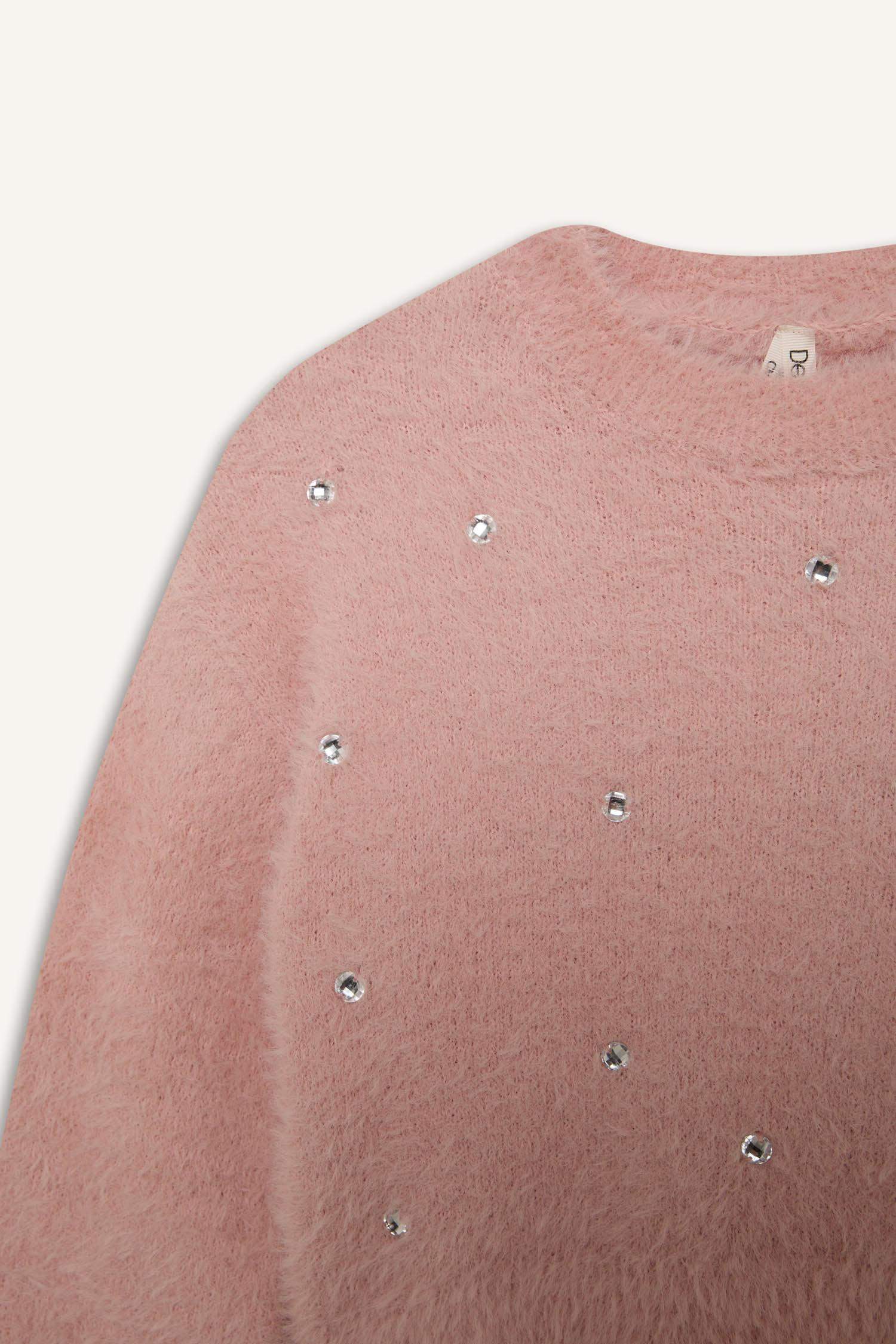 Girl Crop Crew Neck Pullover