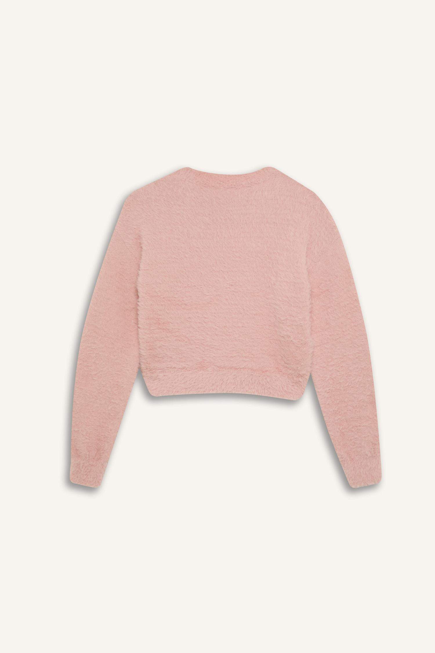 Girl Crop Crew Neck Pullover