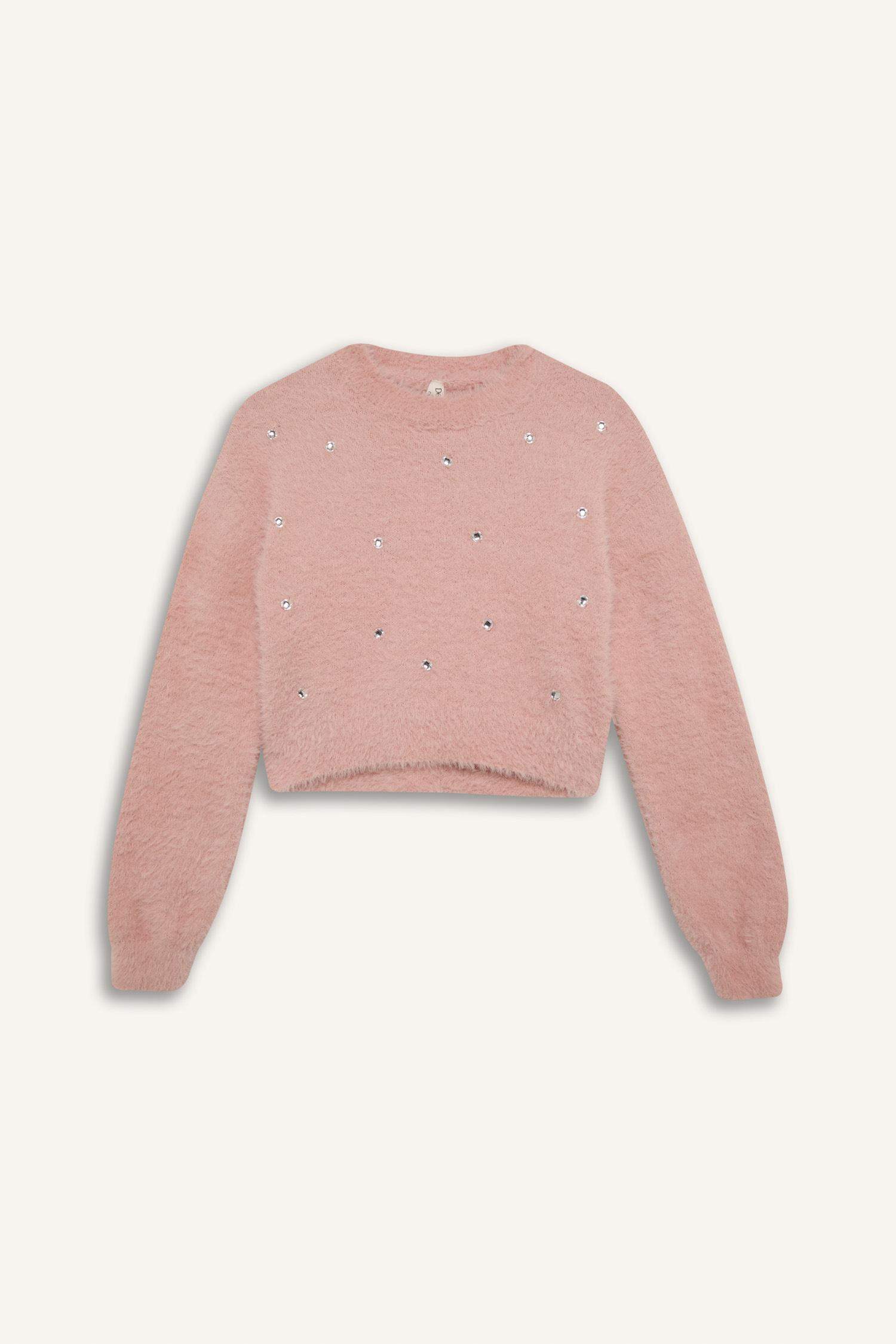 Girl Crop Crew Neck Pullover