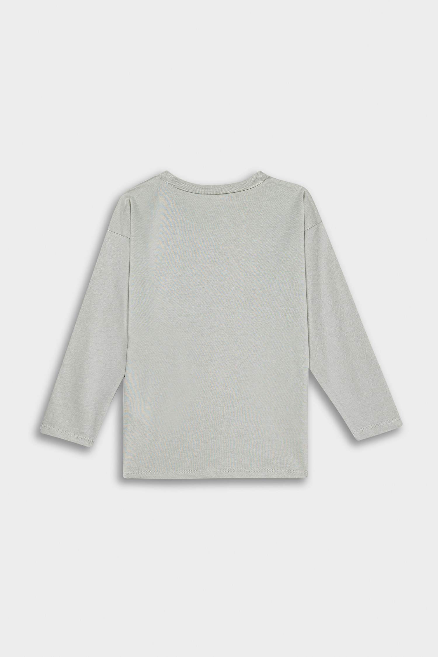 Baby Boy Regular Fit Crew Neck T-Shirt