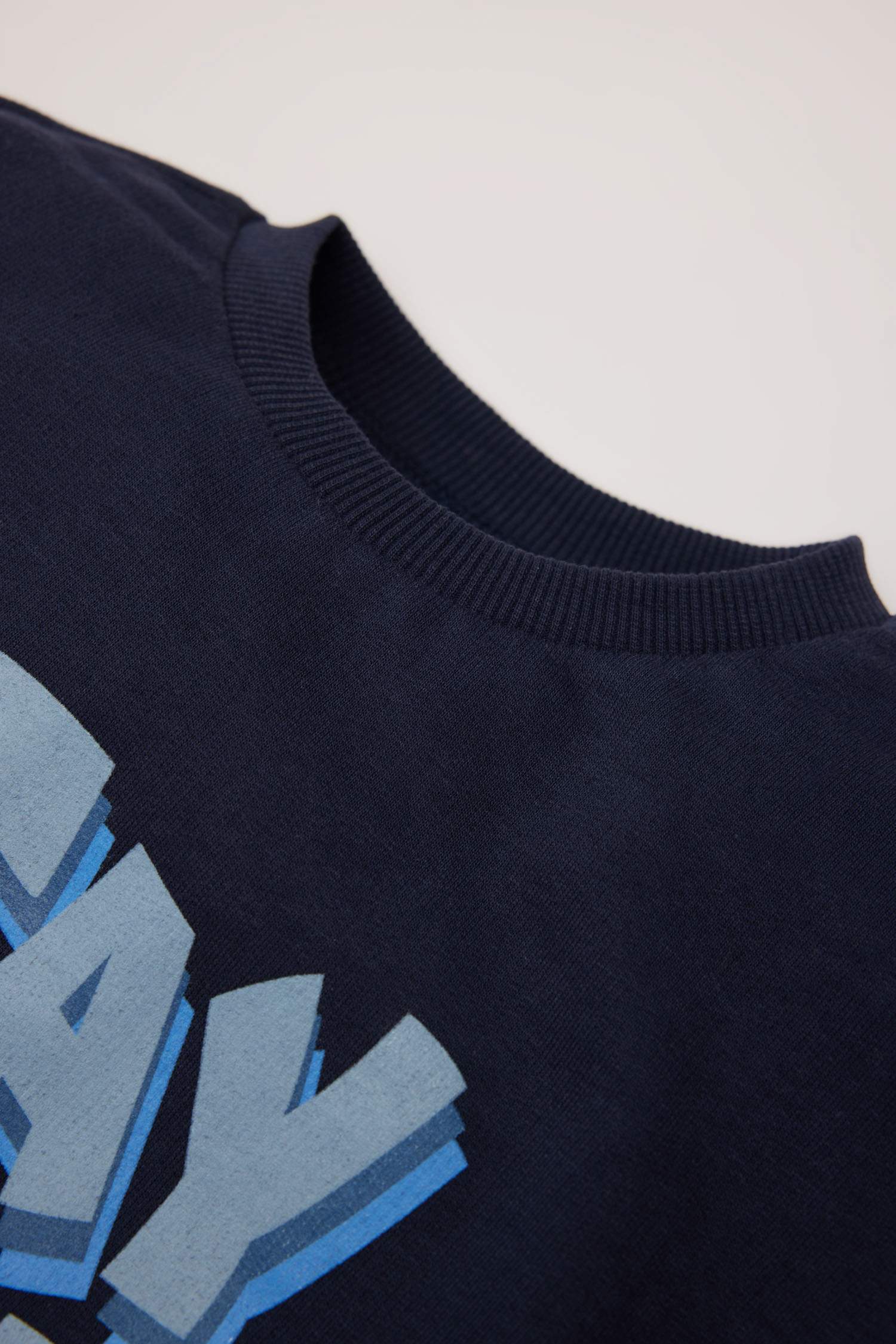 Baby Boy Regular Fit Slogan Printed Soft Furry Inside Thin Sweatshirt