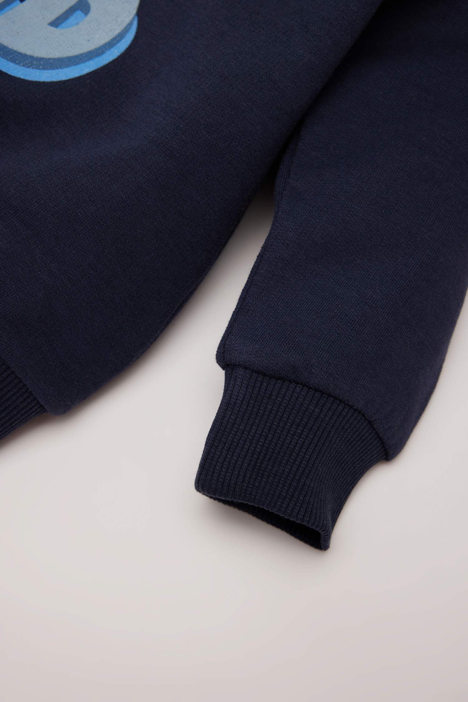 Baby Boy Regular Fit Slogan Printed Soft Furry Inside Thin Sweatshirt