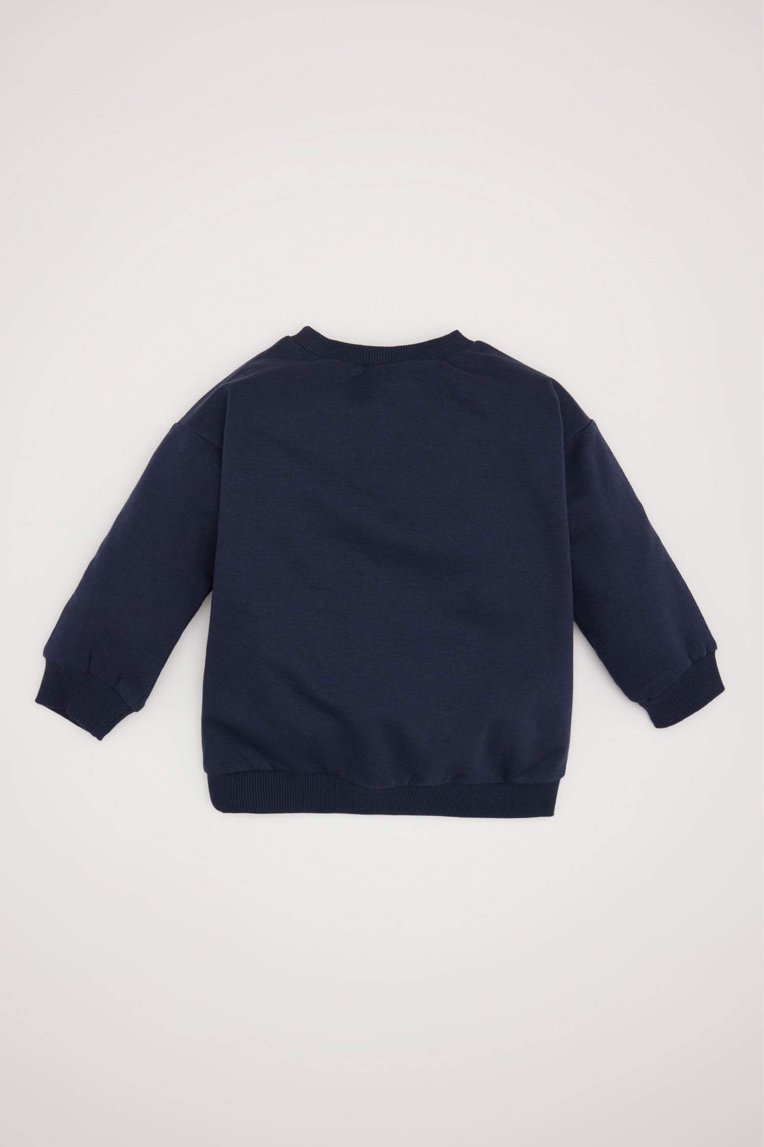 Baby Boy Regular Fit Slogan Printed Soft Furry Inside Thin Sweatshirt