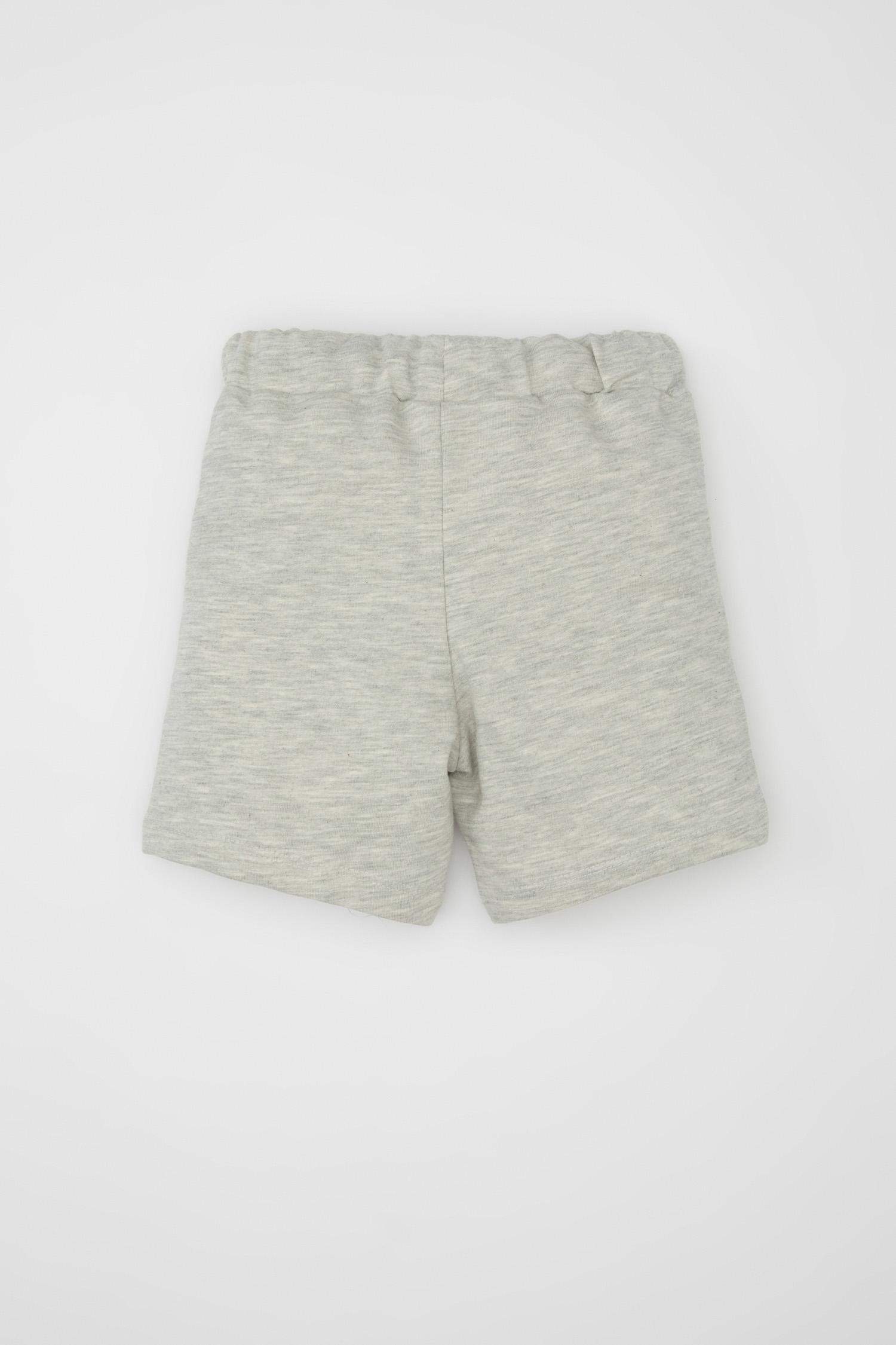 Regular Fit Elastic Band Shorts