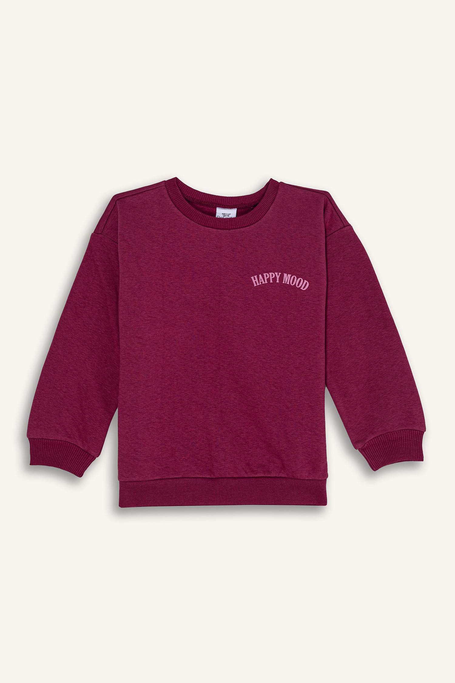 Kız Bebek Bisiklet Yaka Baskılı Sweatshirt