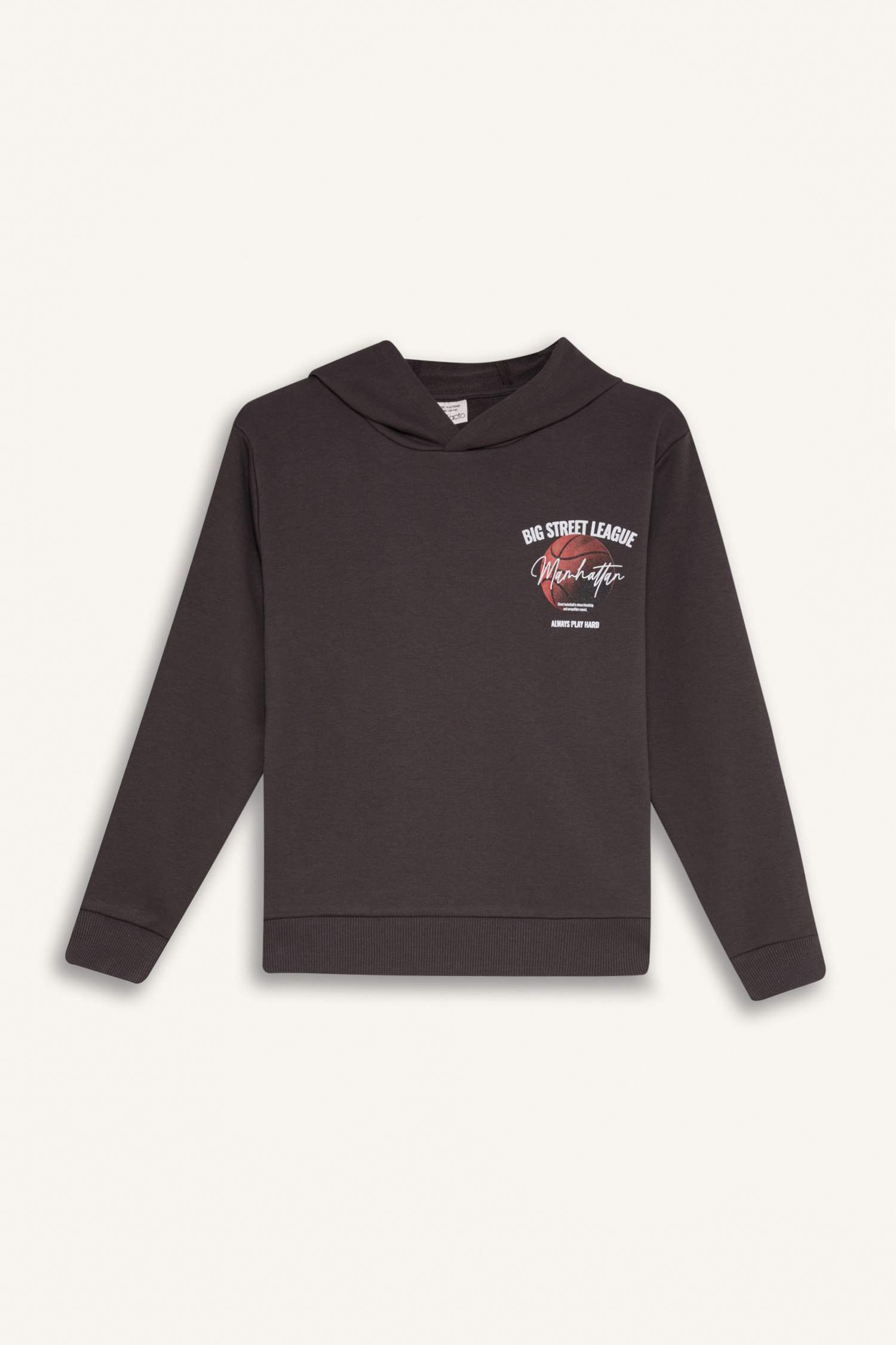 Erkek Çocuk 2'li Takım Kapüşonlu Baskılı Sweatshirt Beli Lastikli Eşofman Altı