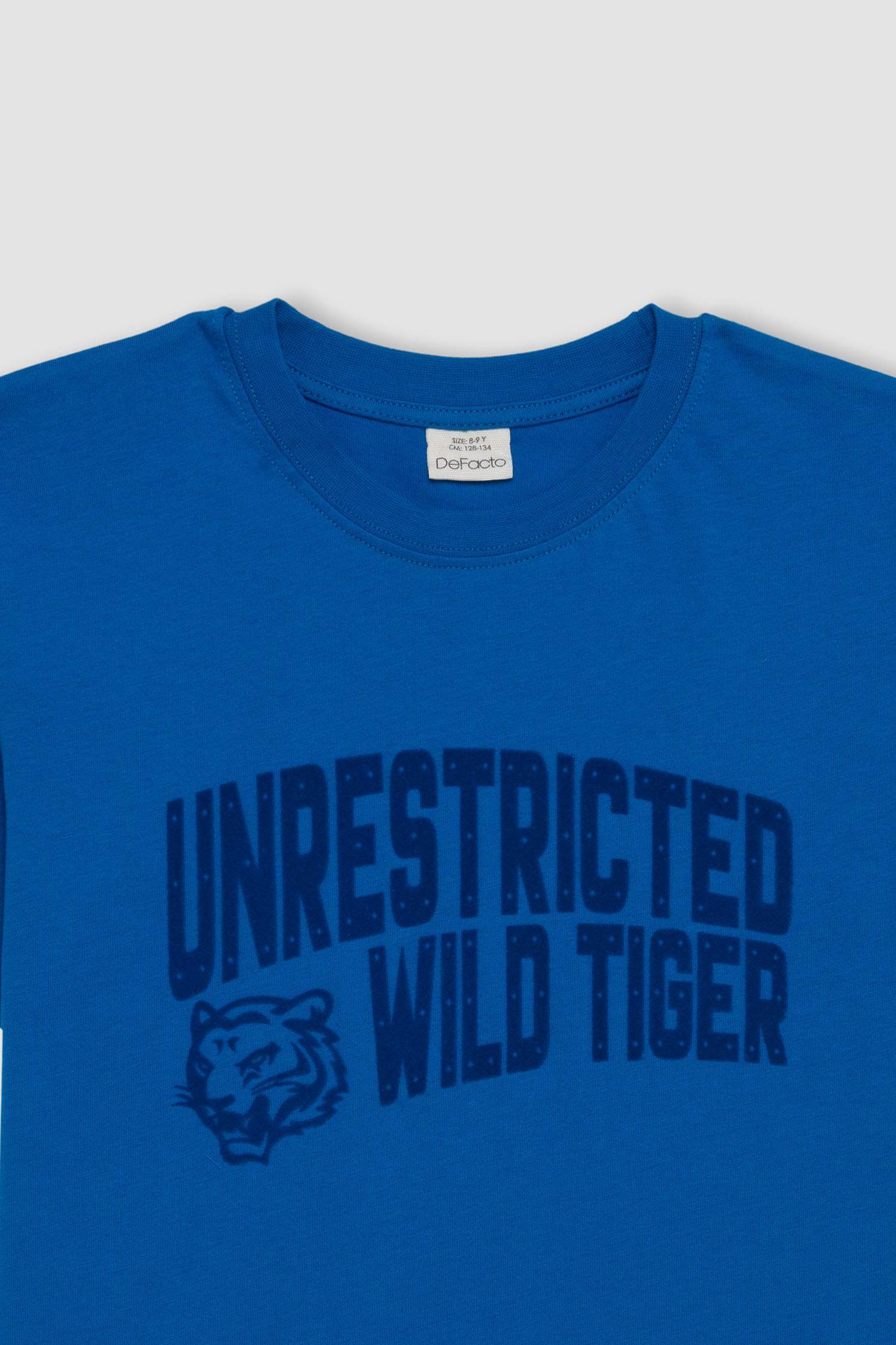 Boy Crew Neck Printed Short Sleeve T-Shirt