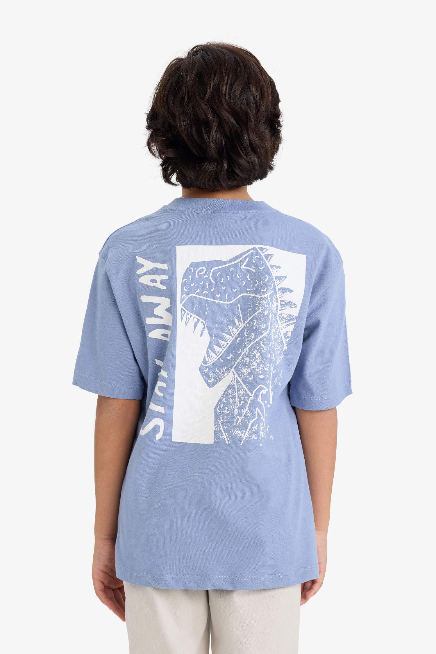 Boy Crew Neck Printed Short Sleeve T-Shirt