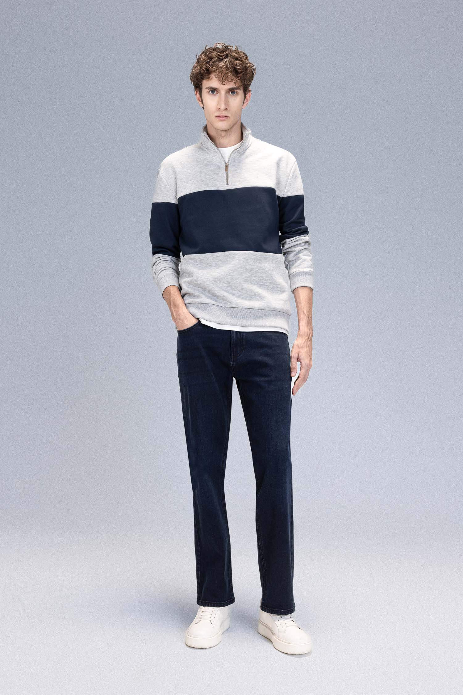 Comfort Regular Fit Stand Collar Zippered Striped Thick Sweatshirt