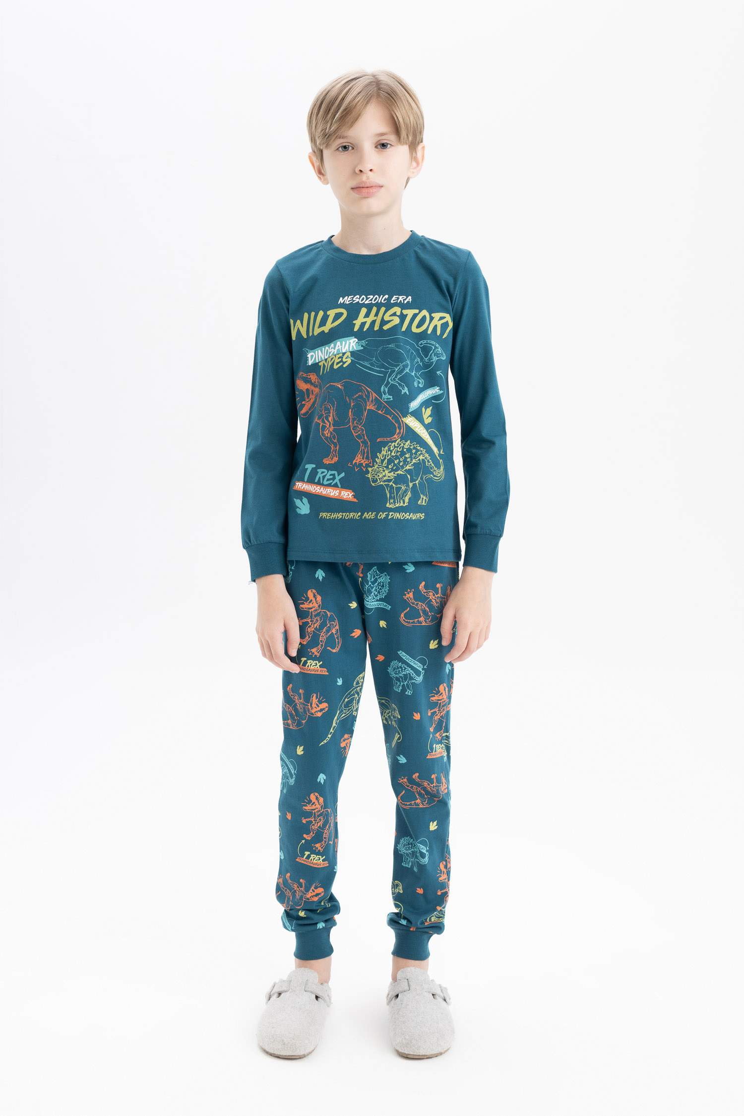 Boy Printed Long Sleeve 2 Piece Pajama Set