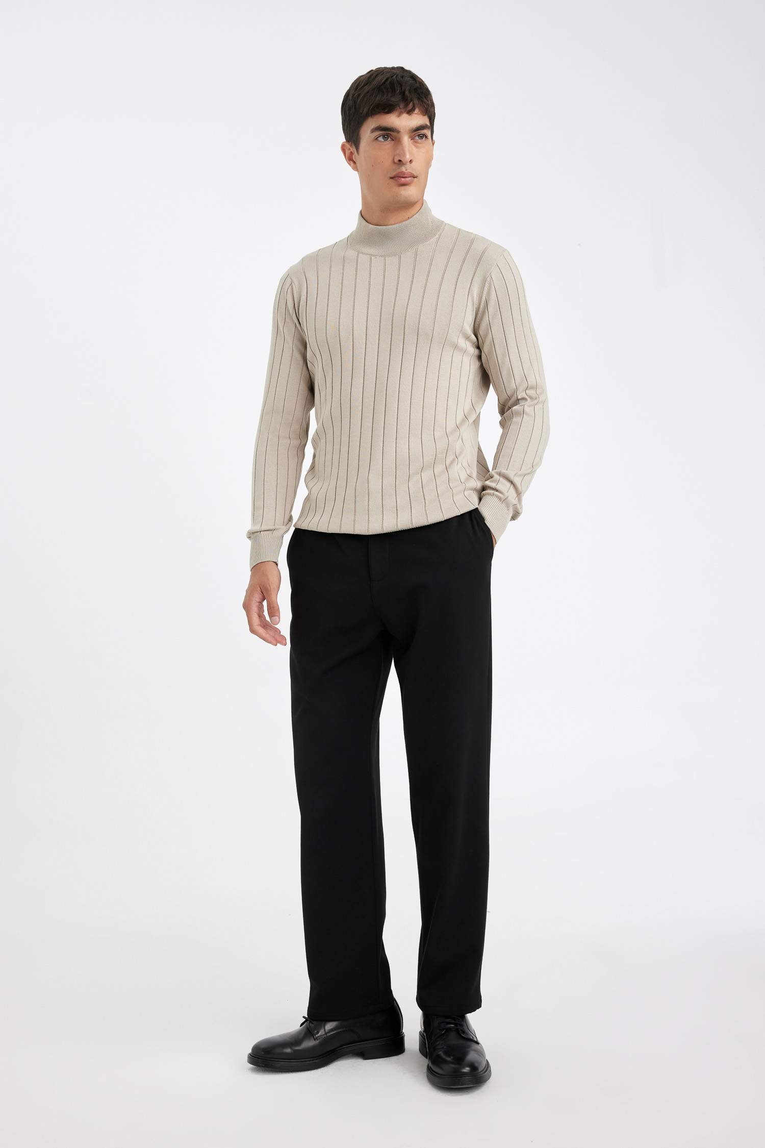Standard Fit Turtleneck Knitwear Pullover