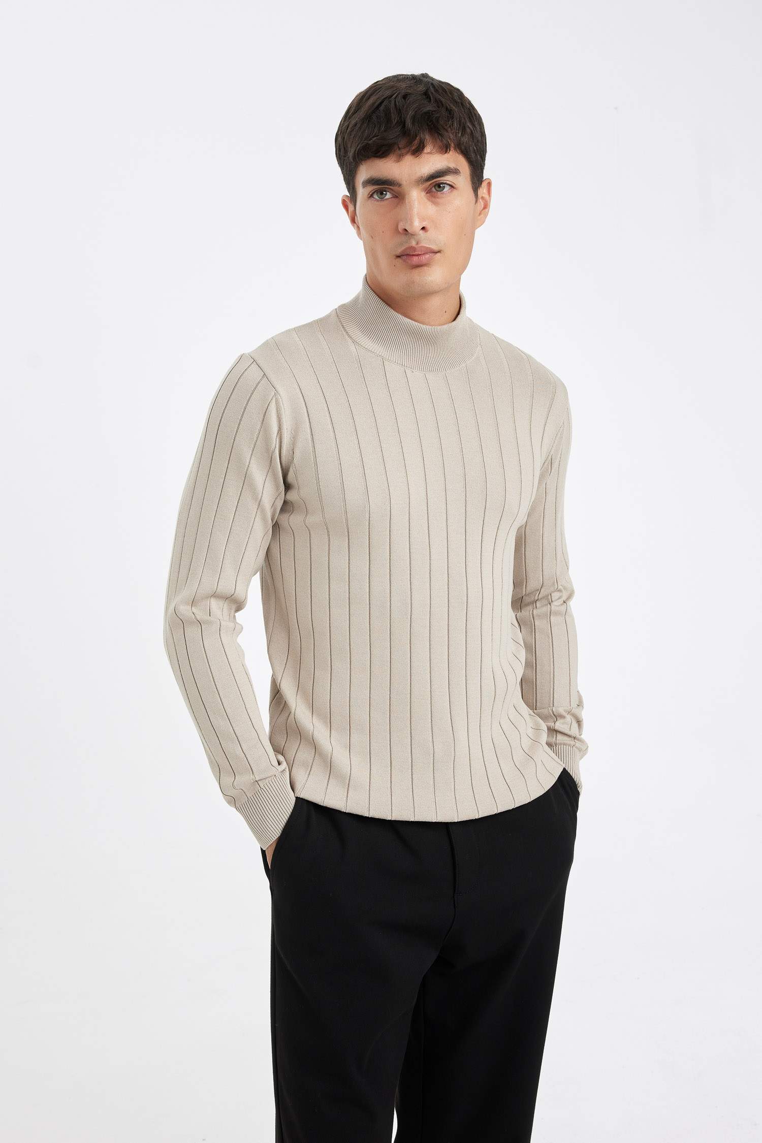 Standard Fit Turtleneck Knitwear Pullover