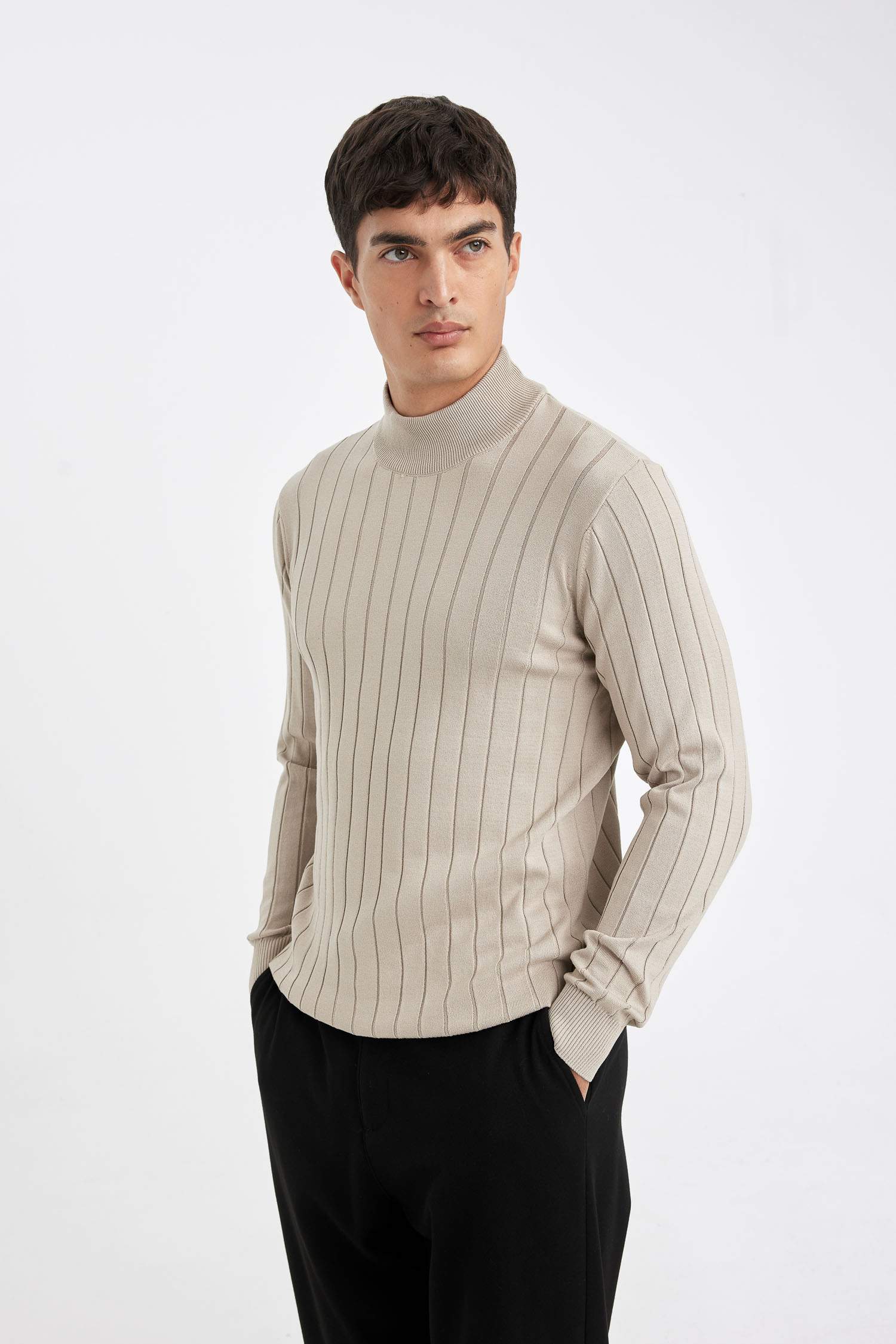 Standard Fit Turtleneck Knitwear Pullover