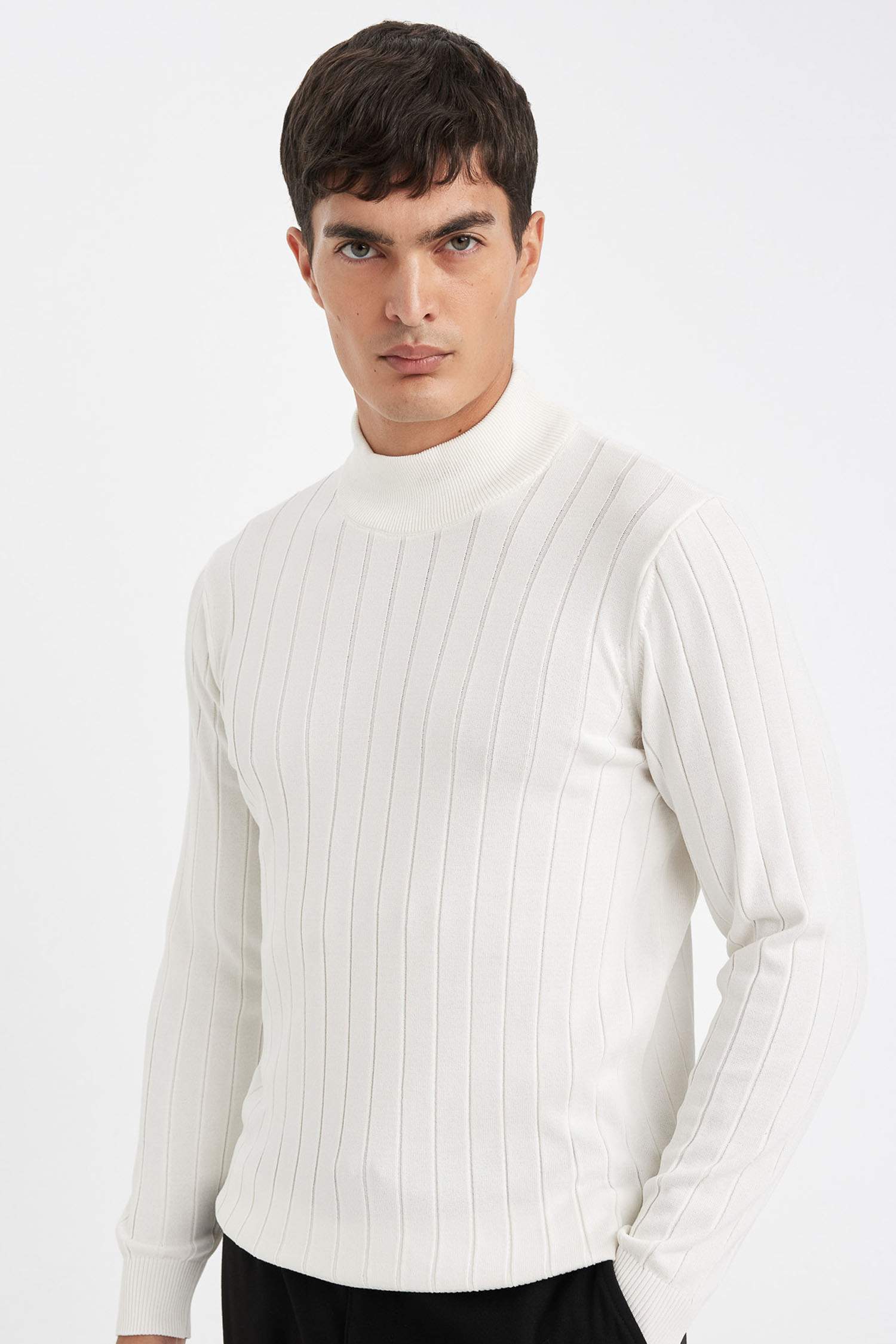 Pull Tricot à Col roulé Coupe standard