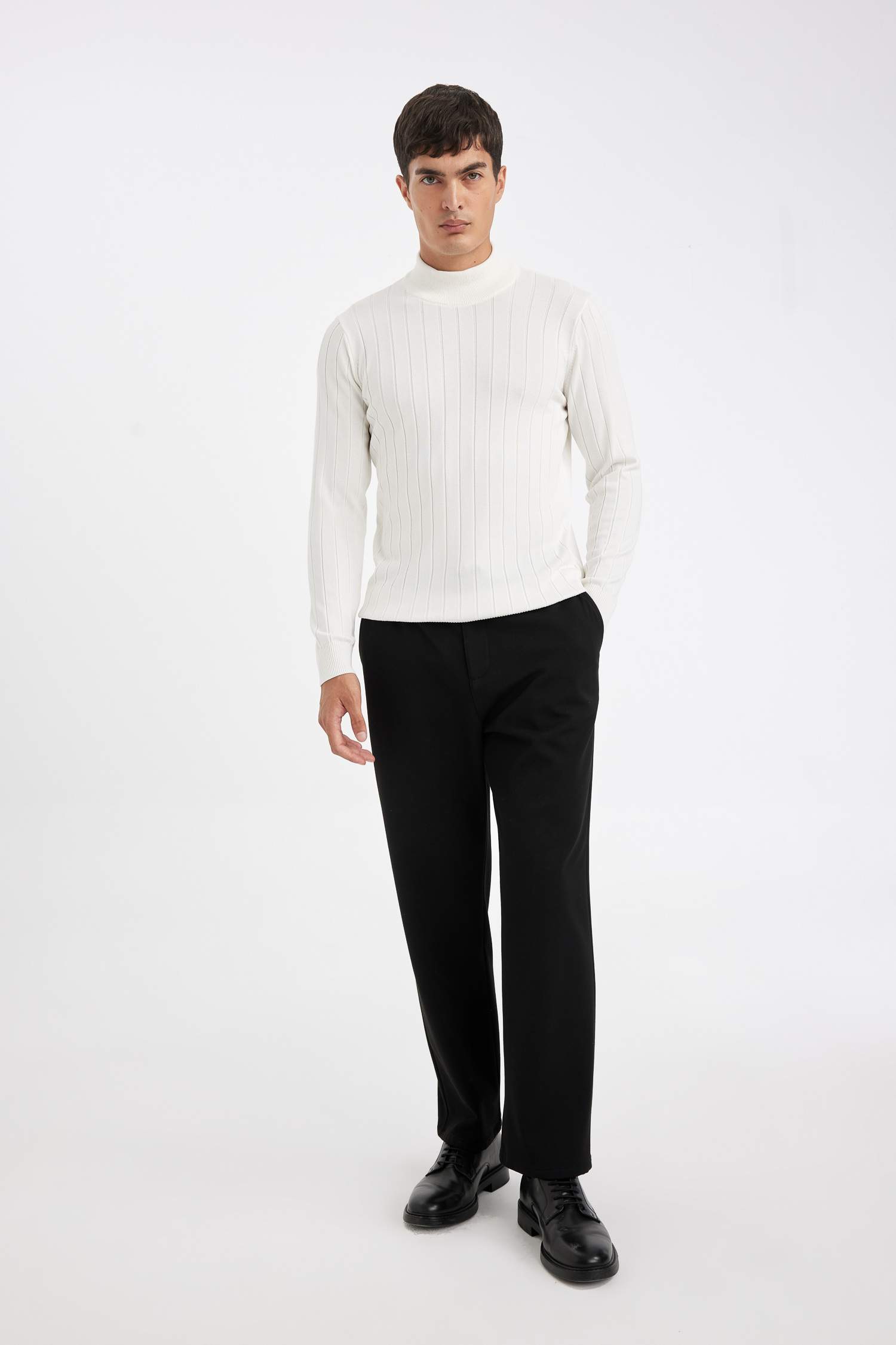 Pull Tricot à Col roulé Coupe standard