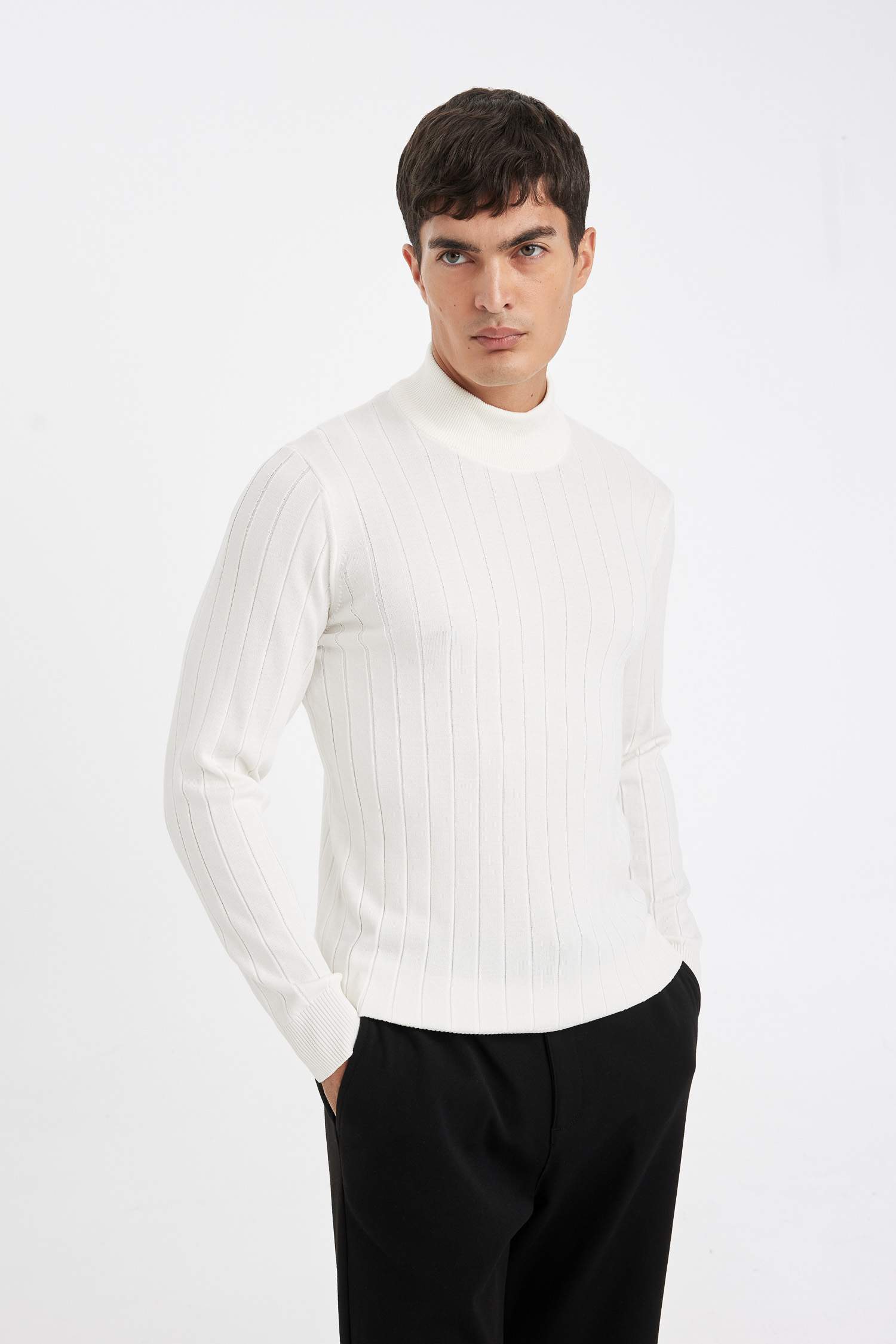 Pull Tricot à Col roulé Coupe standard