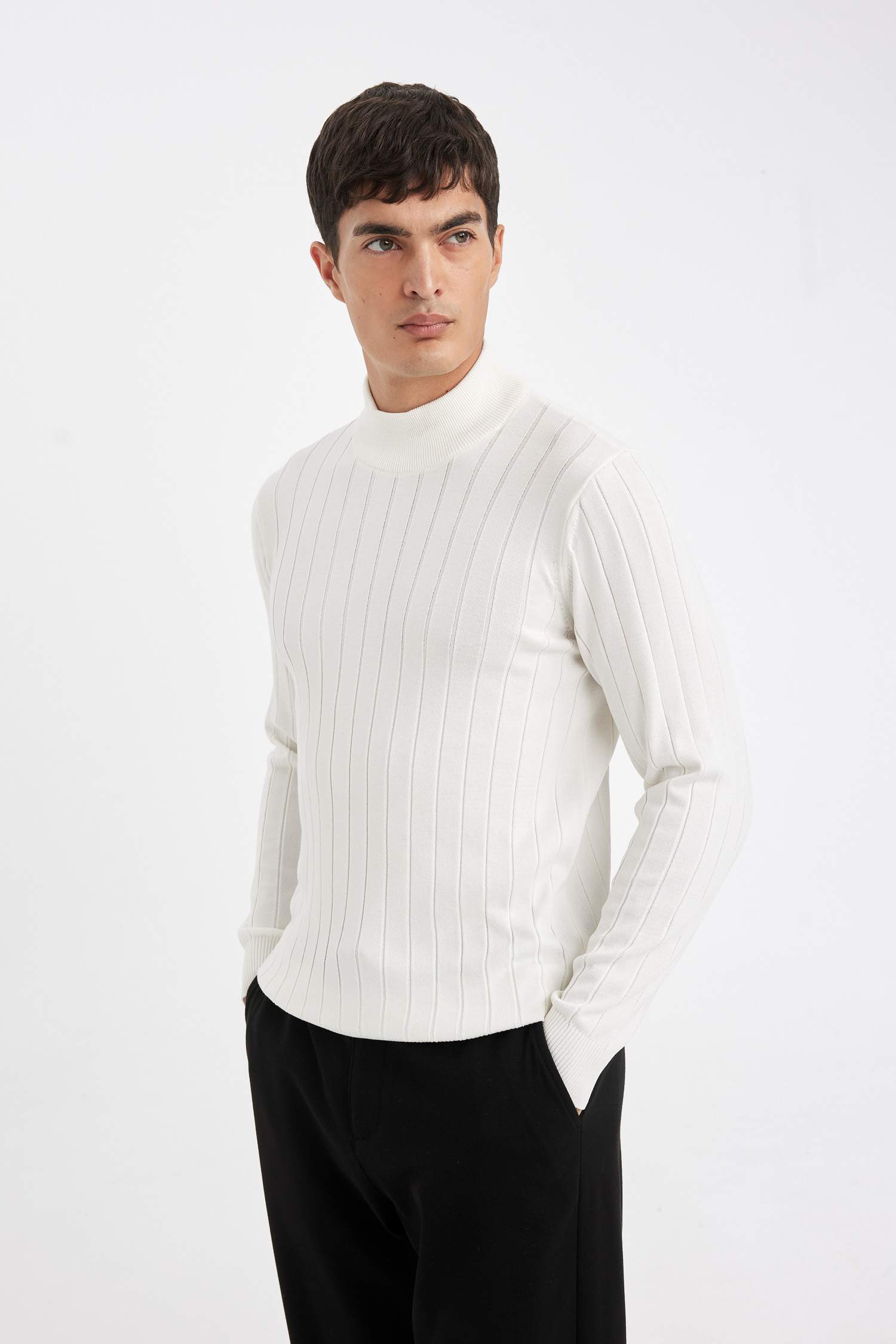 Pull Tricot à Col roulé Coupe standard