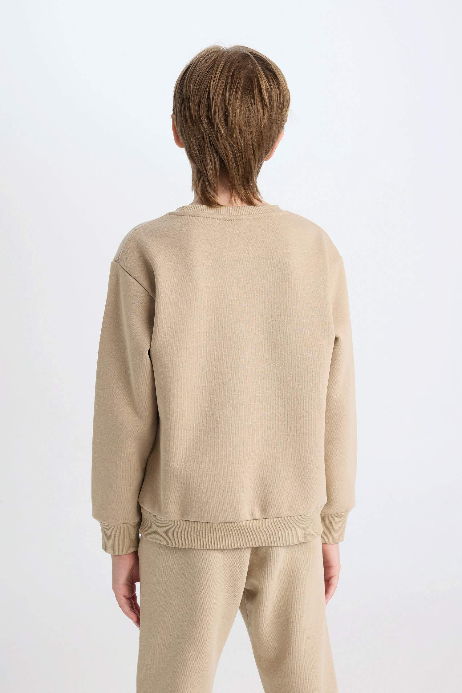 Boy Crew Neck Printed Thick Sweatshirt