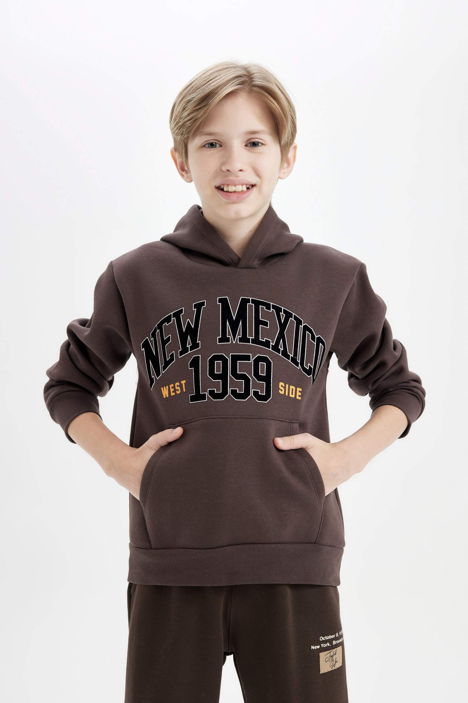 Boy Printed Hooded Thick Sweatshirt
