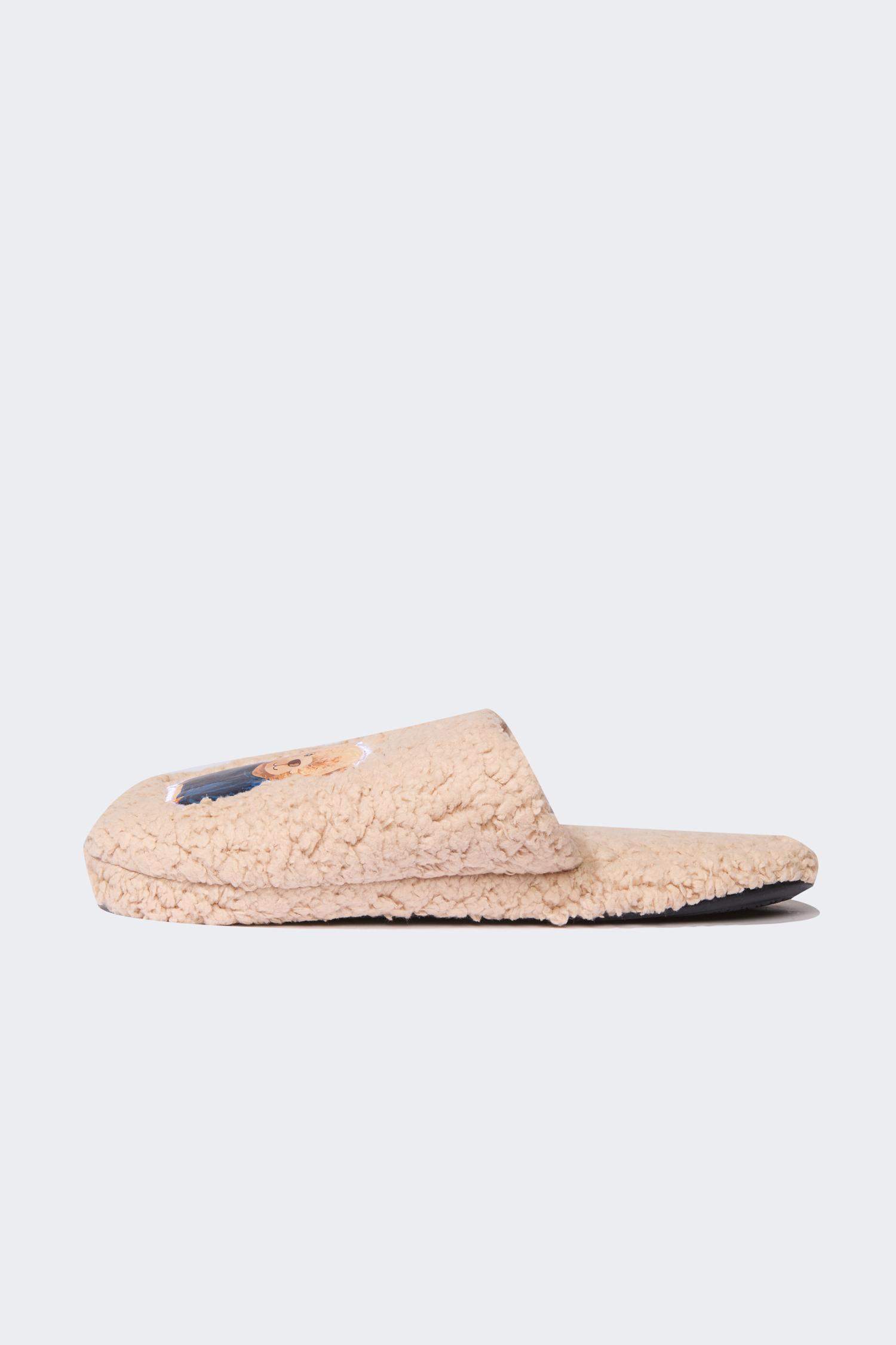 Boy Teddy Printed Flat Sole Home Slippers