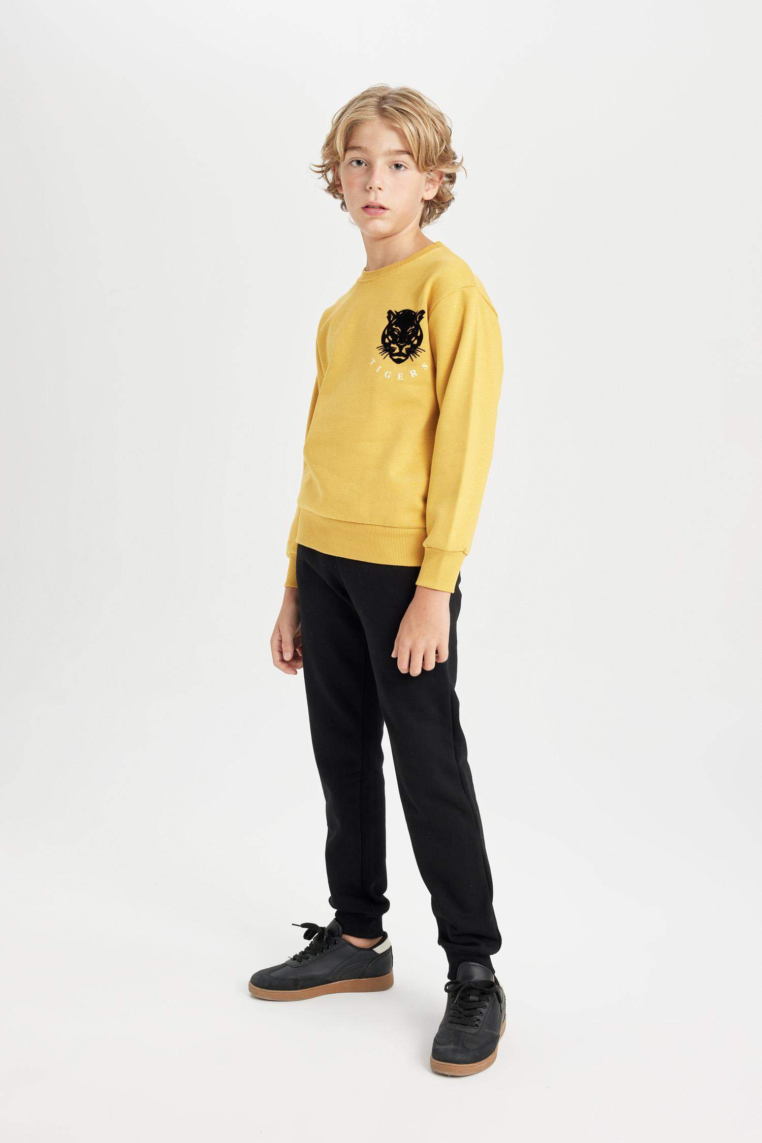 سويت شيرت ولادي قصة عادية بياخة مستديرة بطبعة نمر