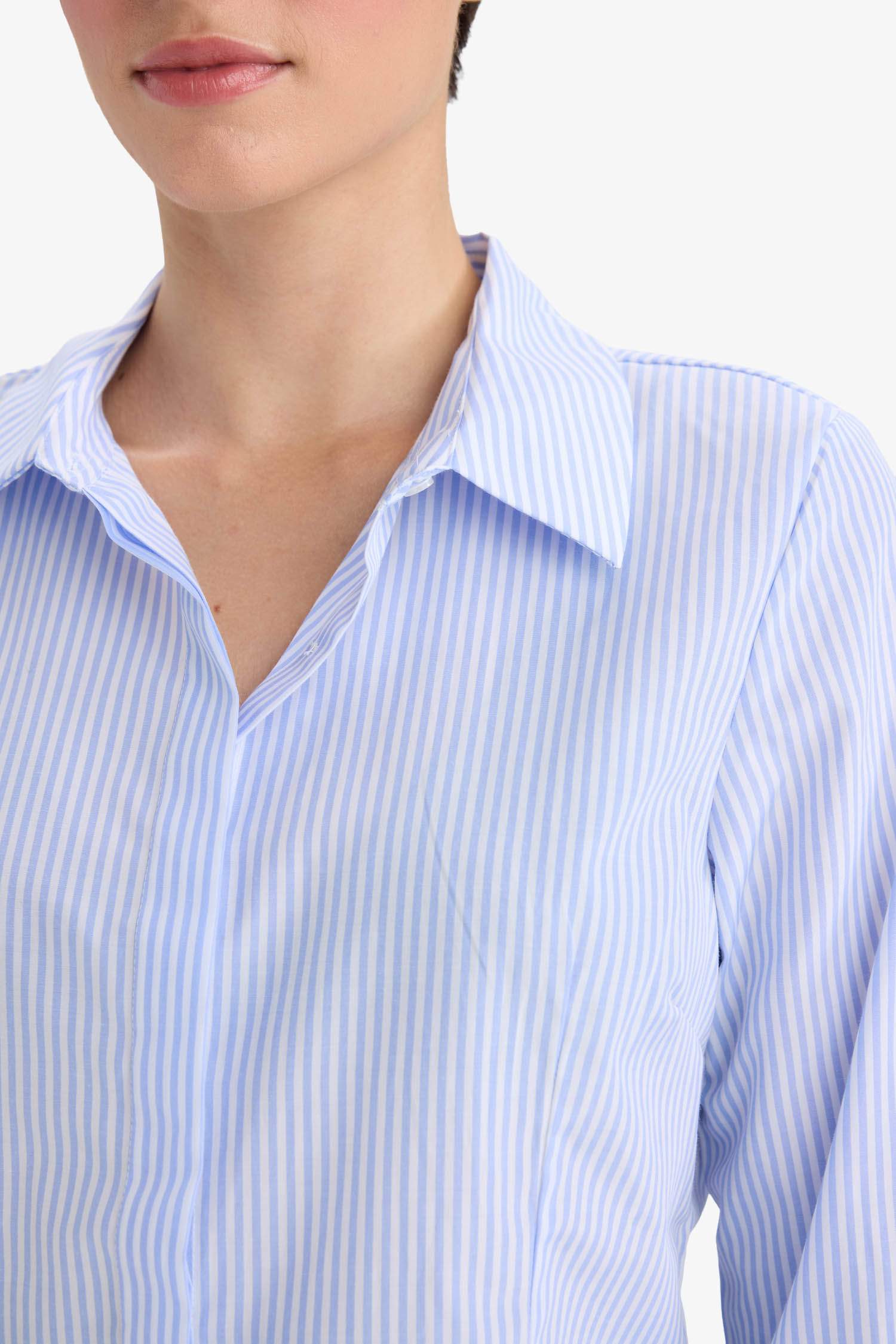 Fitted Poplin Long Sleeve Striped Shirt