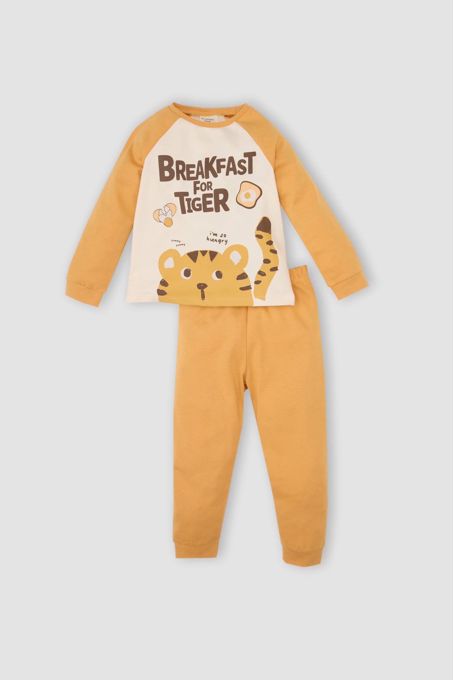 Baby Boy Printed Long Sleeve 2 Piece Pajama Set