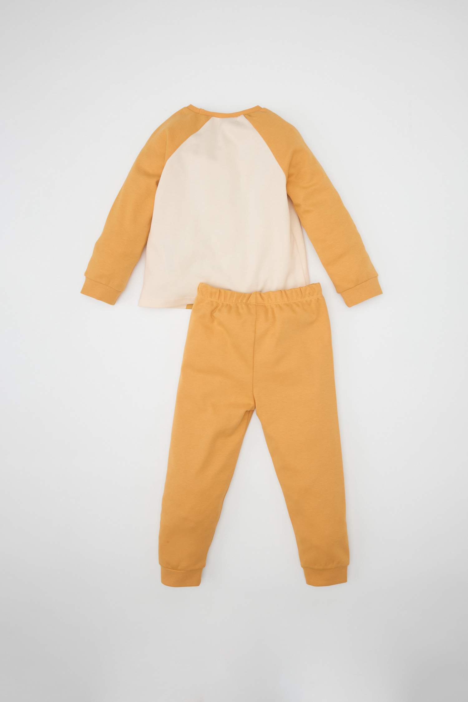 Baby Boy Printed Long Sleeve 2 Piece Pajama Set