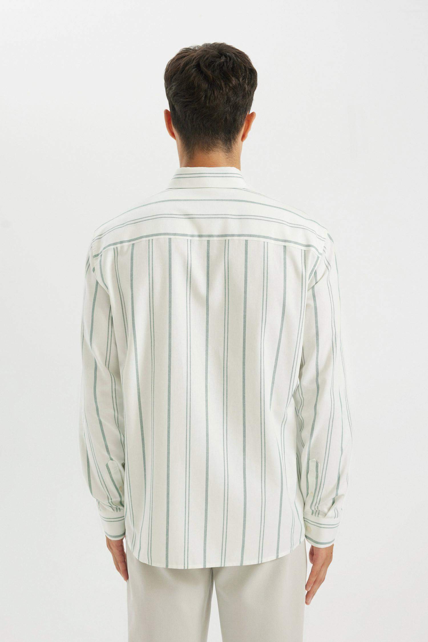 قميص بولو مخطط كم طويل أوكسفورد قصة عادية