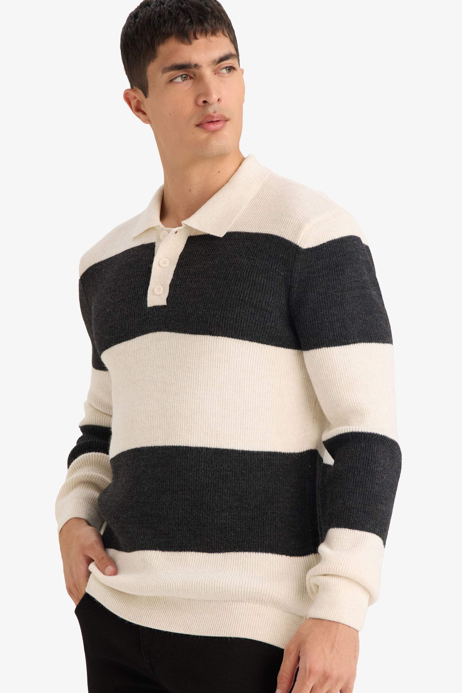 Standart Fit Polo Yaka Renk Bloklu Triko Kazak