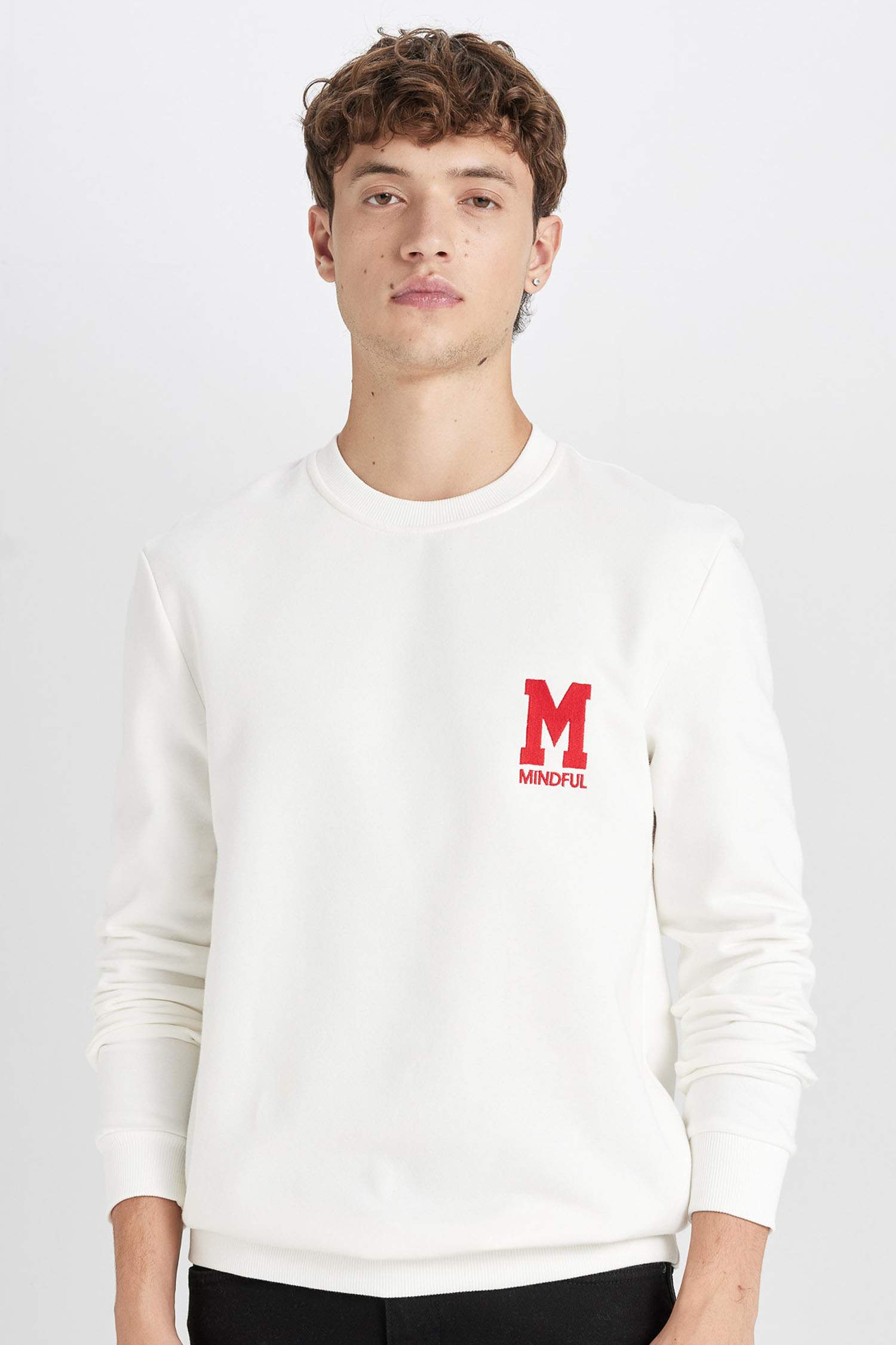 New Regular Fit Bisiklet Yaka Baskılı Kalın Sweatshirt