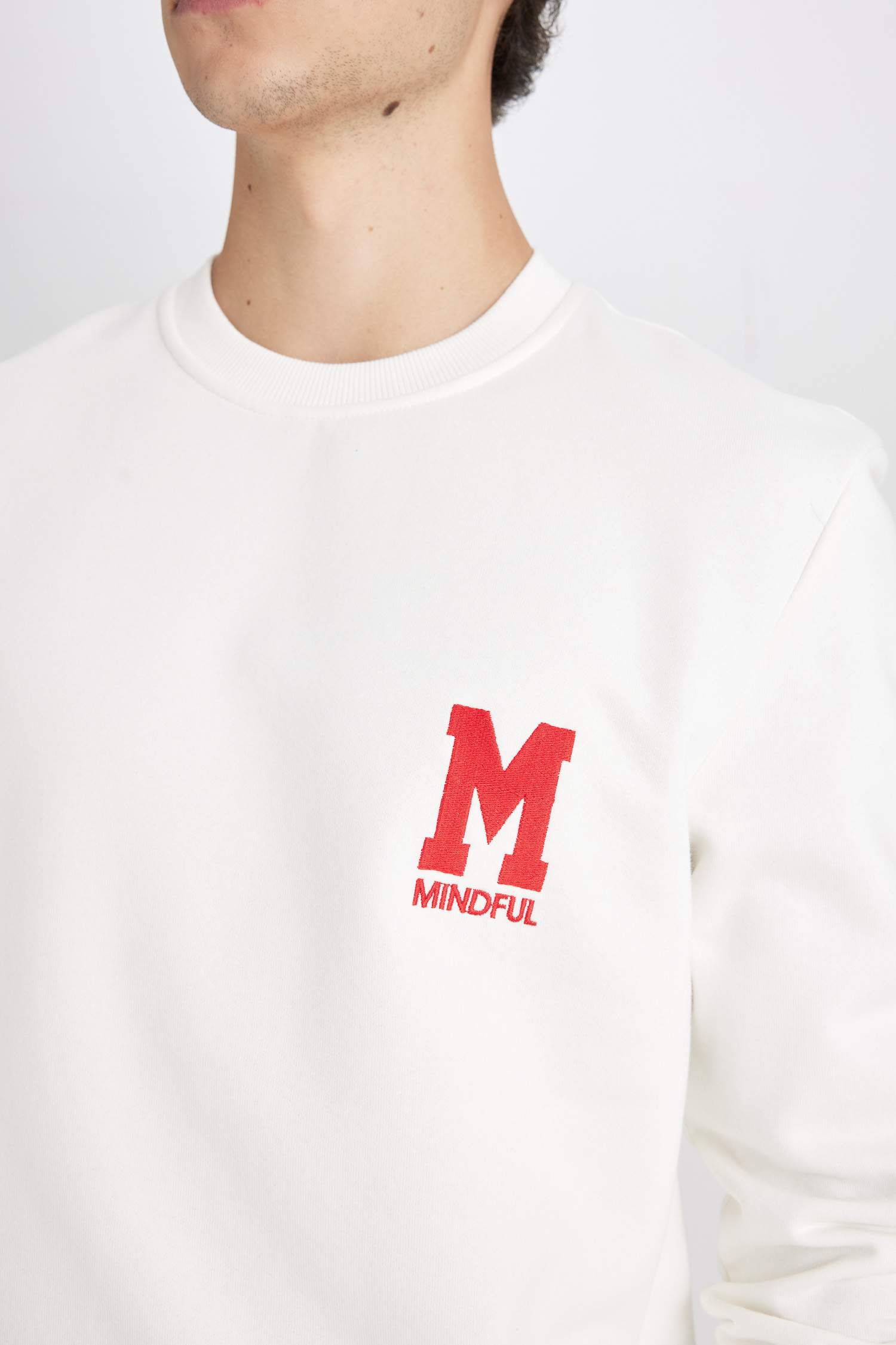 New Regular Fit Bisiklet Yaka Baskılı Kalın Sweatshirt