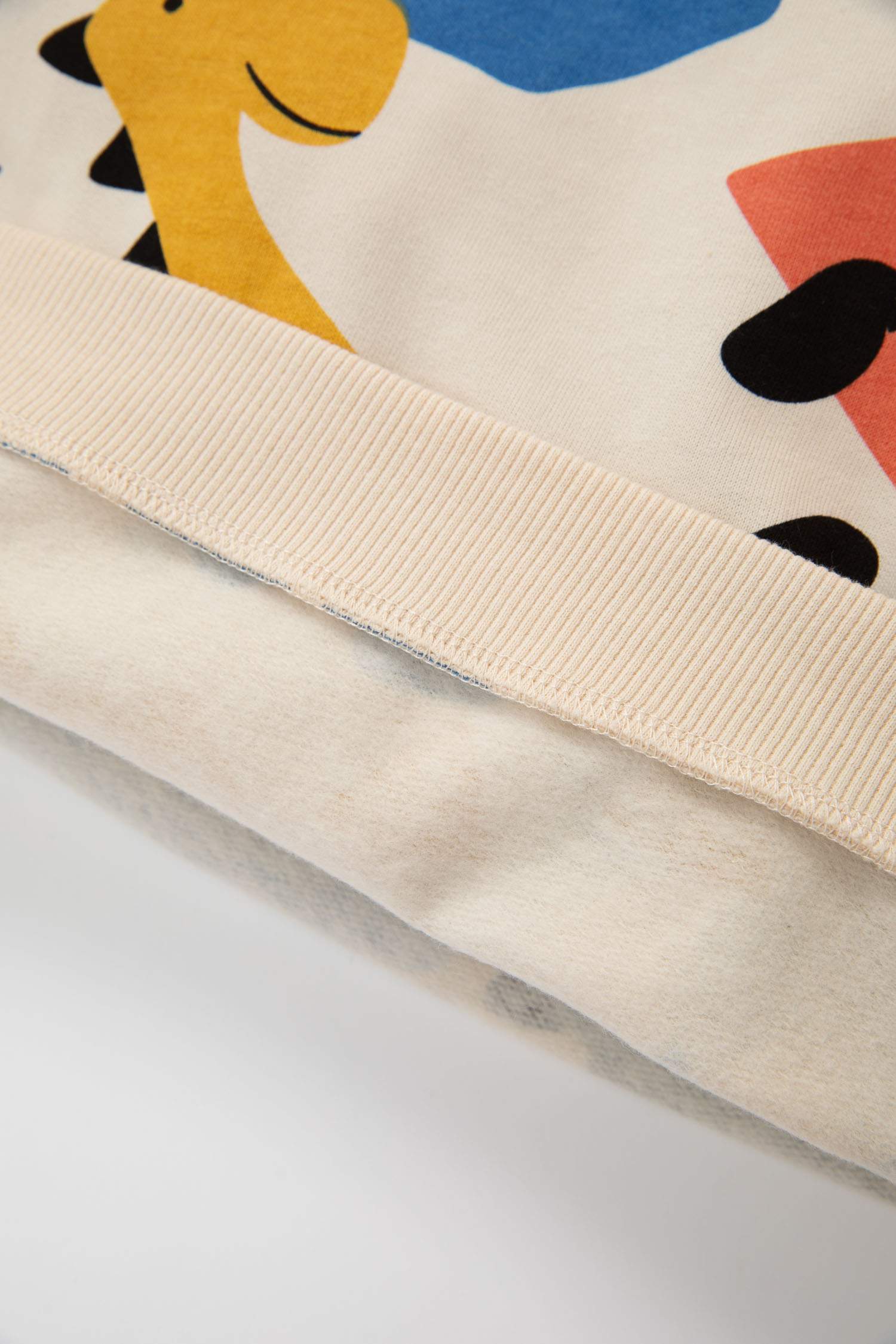 Erkek Bebek 2'li Takım Dinozor Desenli Sweatshirt Beli Lastikli Eşofman Altı