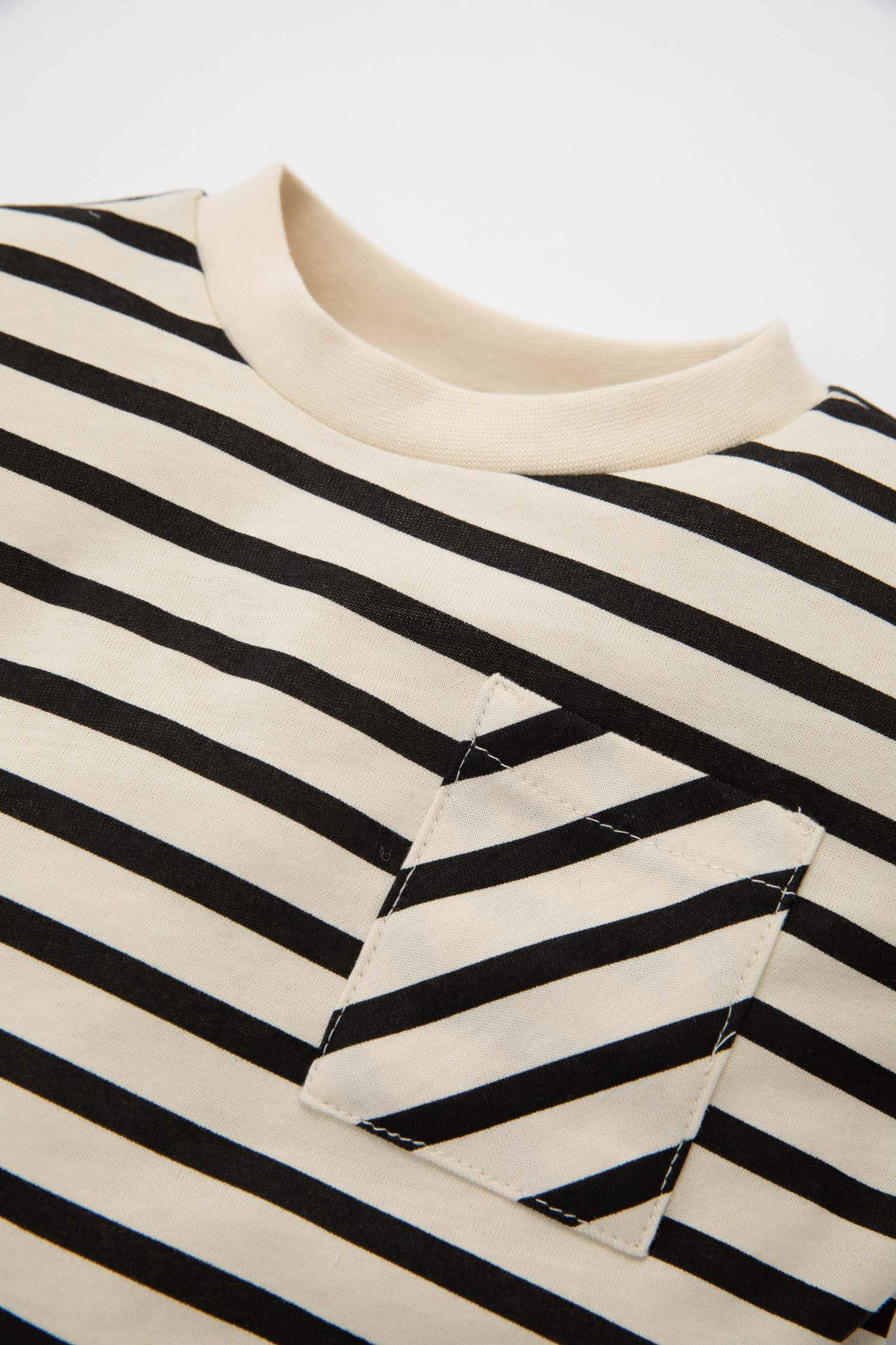 Baby Boy Regular Fit Crew Neck Striped T-Shirt