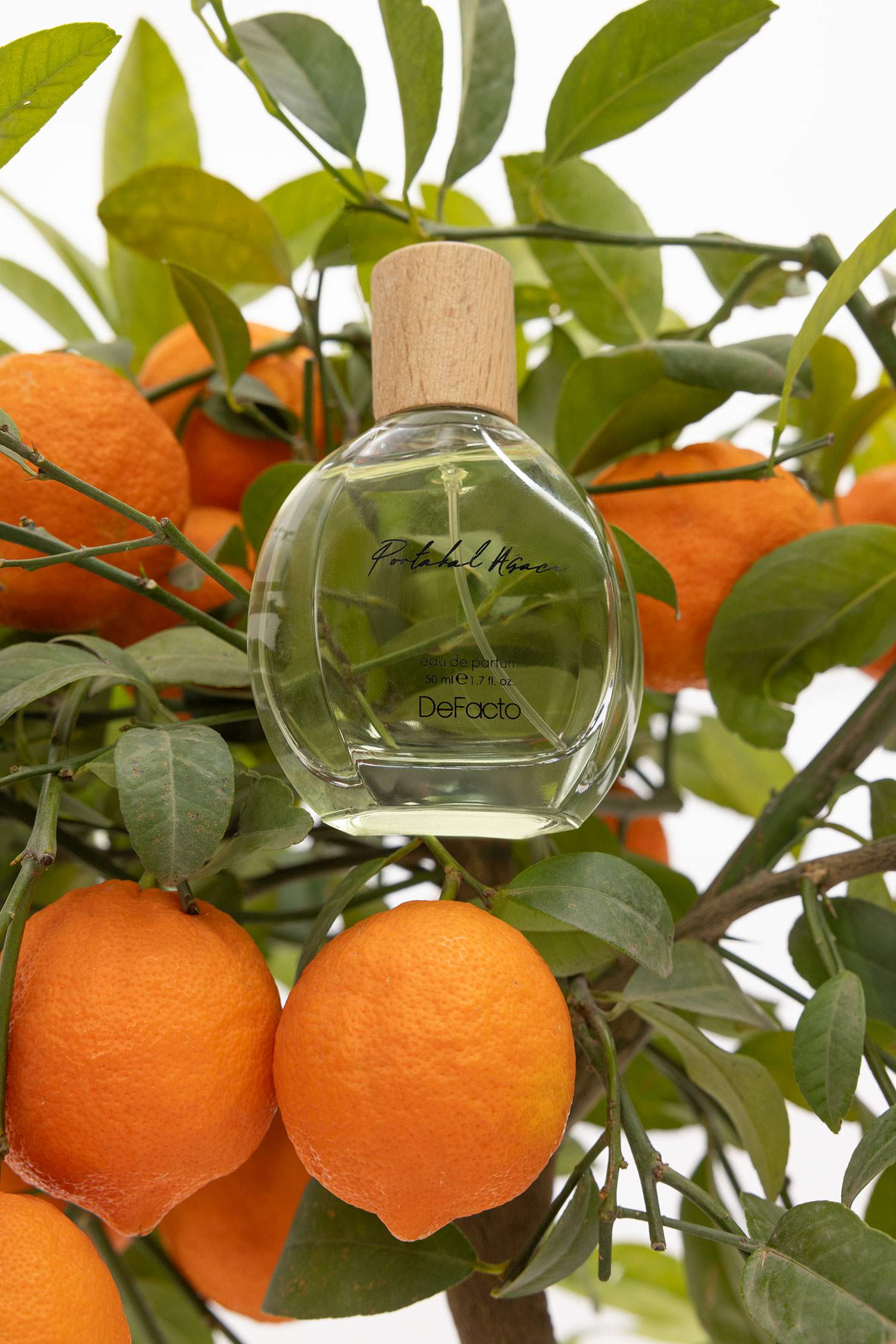 Kadın Defacto Portakal Ağacı Çiçeksi 50 ml Parfüm