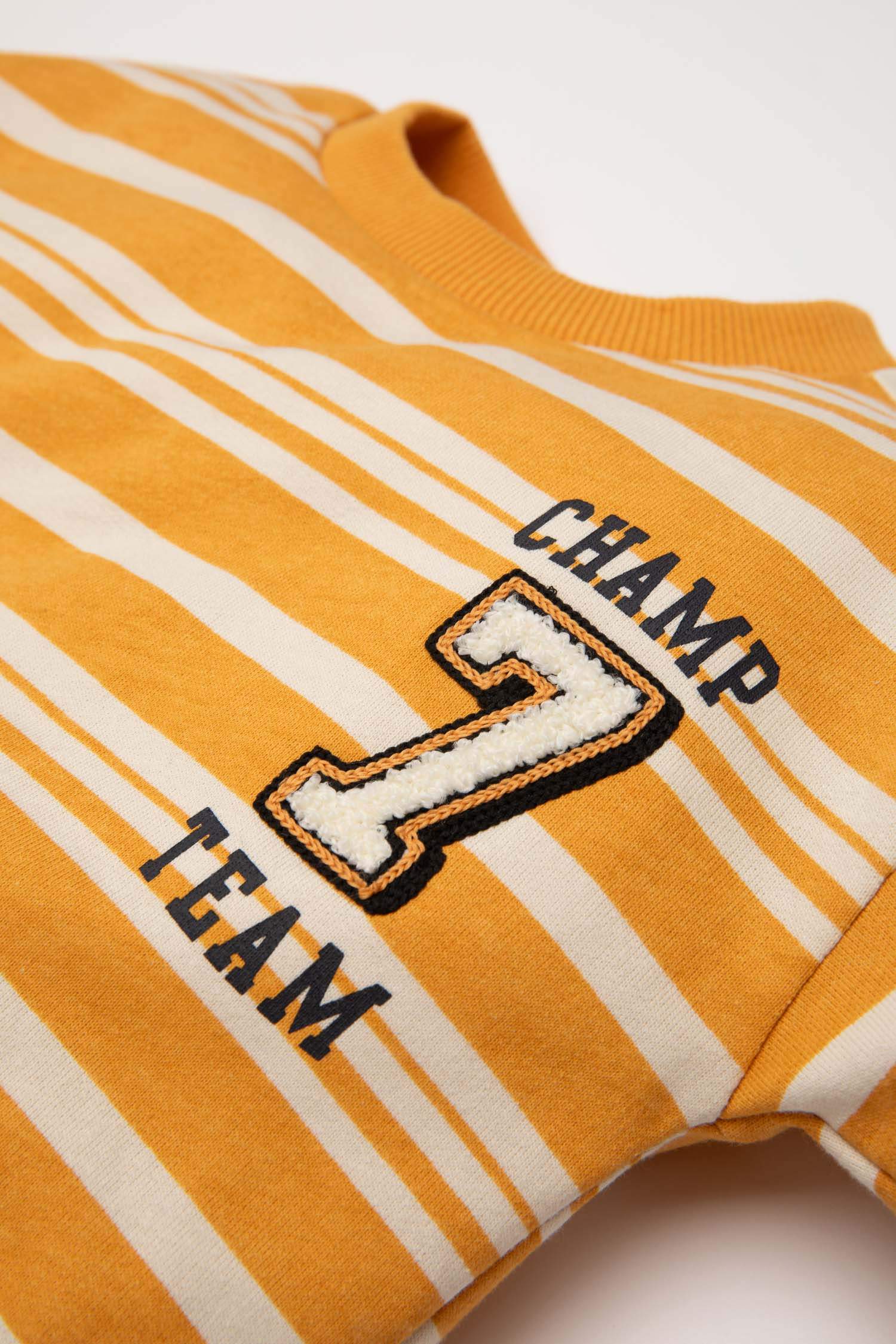 Baby Boy Regular Fit Striped Soft Furry Thin Sweatshirt