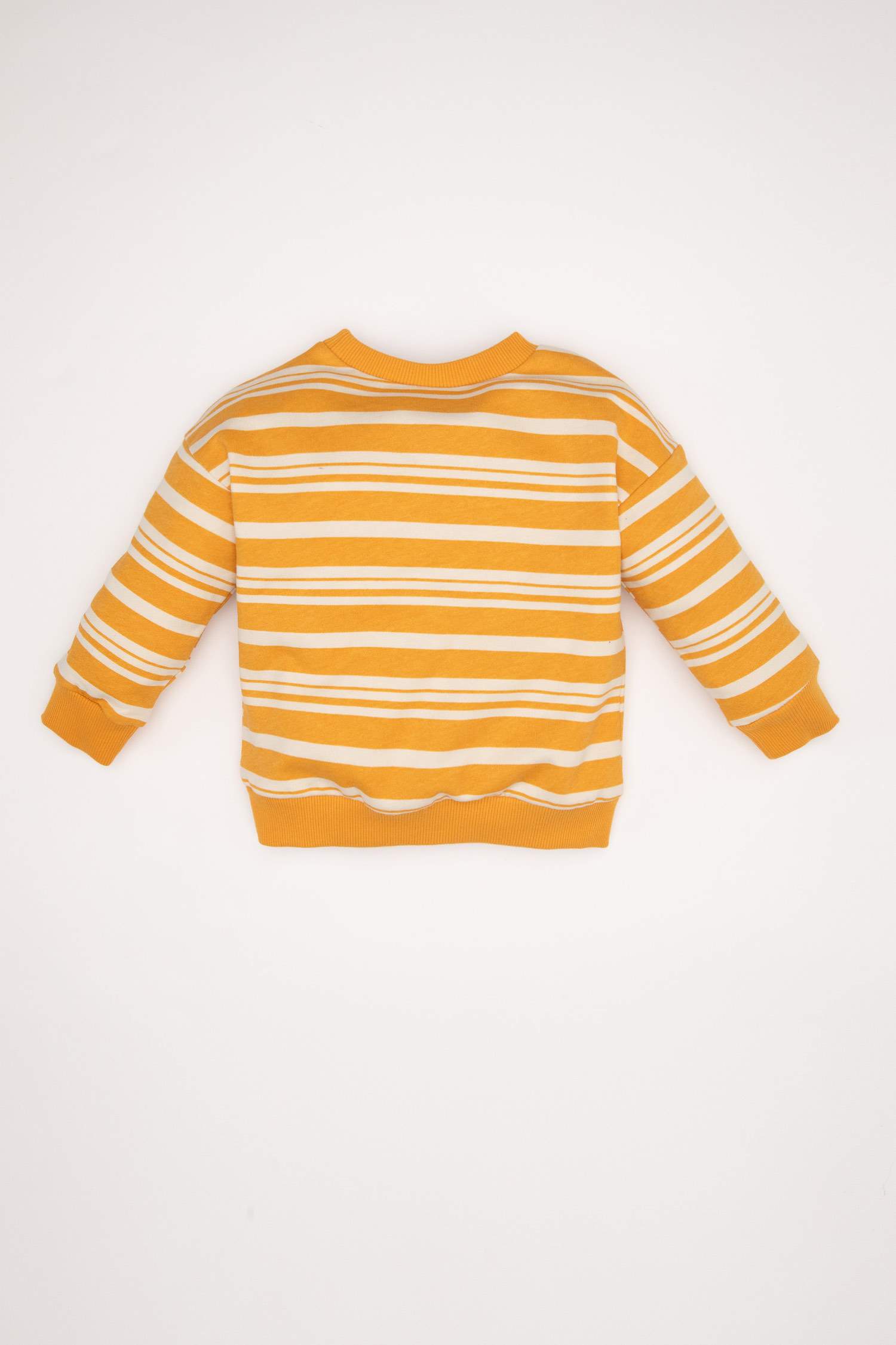 Baby Boy Regular Fit Striped Soft Furry Thin Sweatshirt