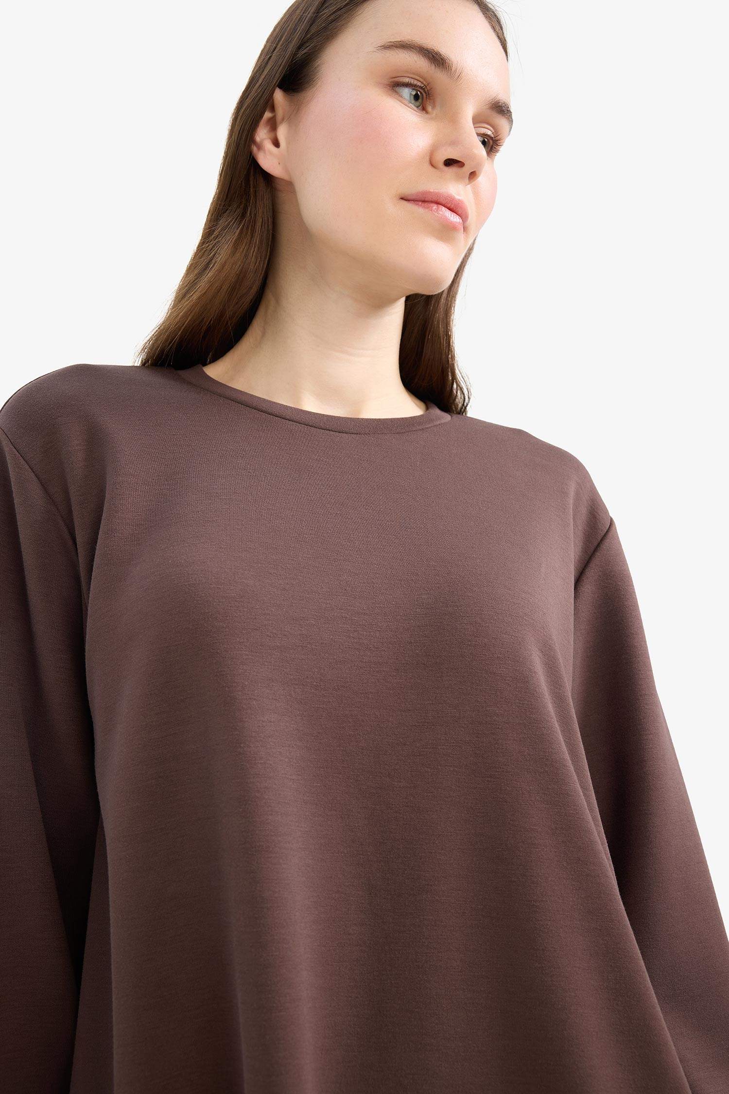 Regular Fit Crew Neck Basic Sweatshirt Tunic