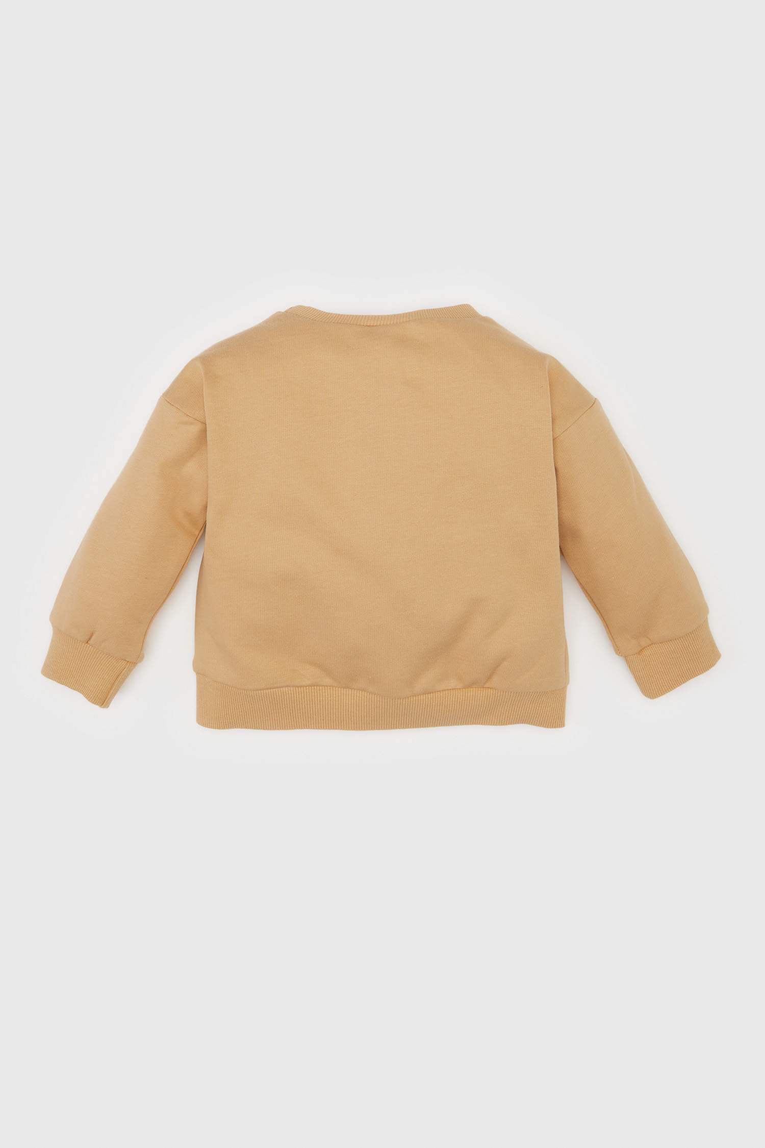 Boy Space Jam Crew Neck Soft Fur Inside Sweatshirt