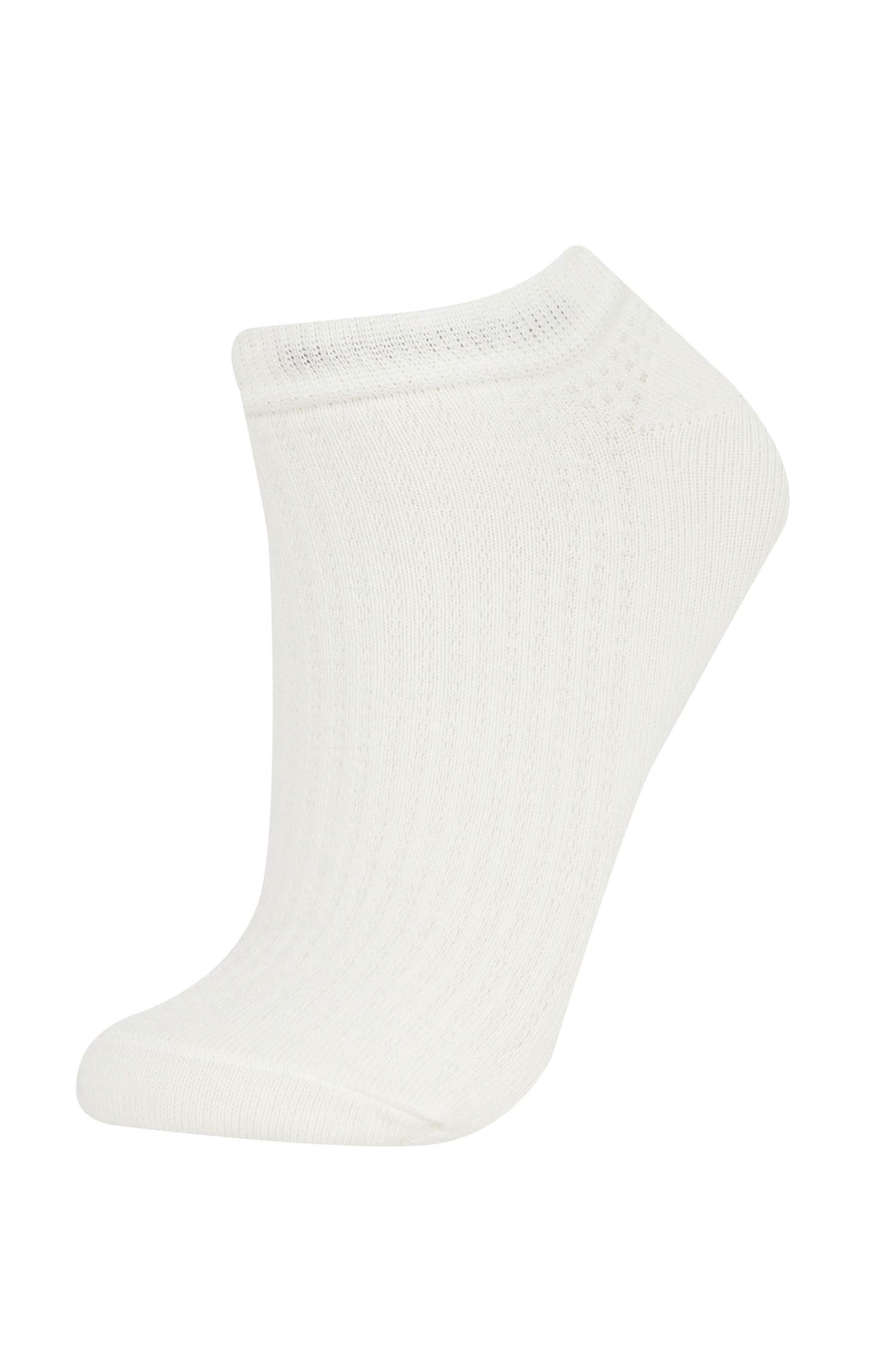 Woman 5 Piece Cotton Booties Socks