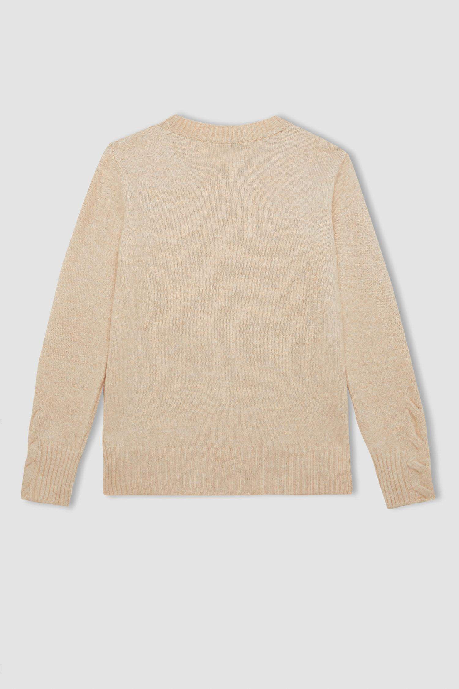 Regular Fit Bisiklet Yaka Saç Örgülü Triko Kazak