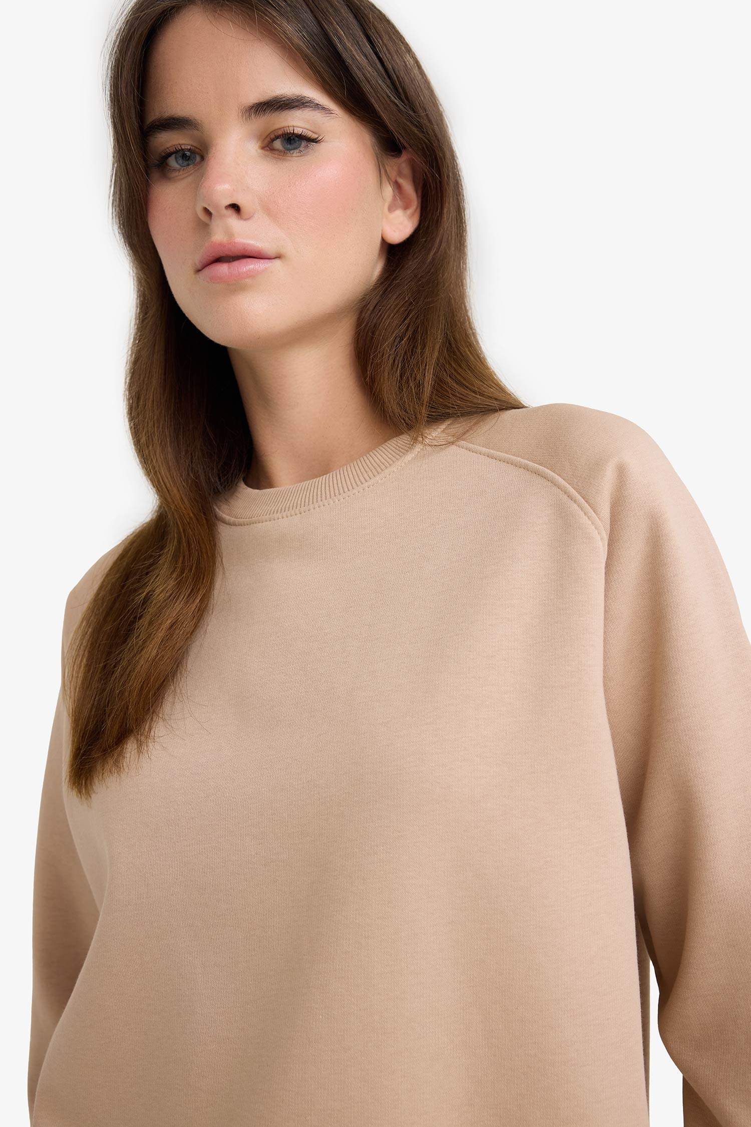 Oversize Fit Crew Neck Thick Fabric Sweatshirt