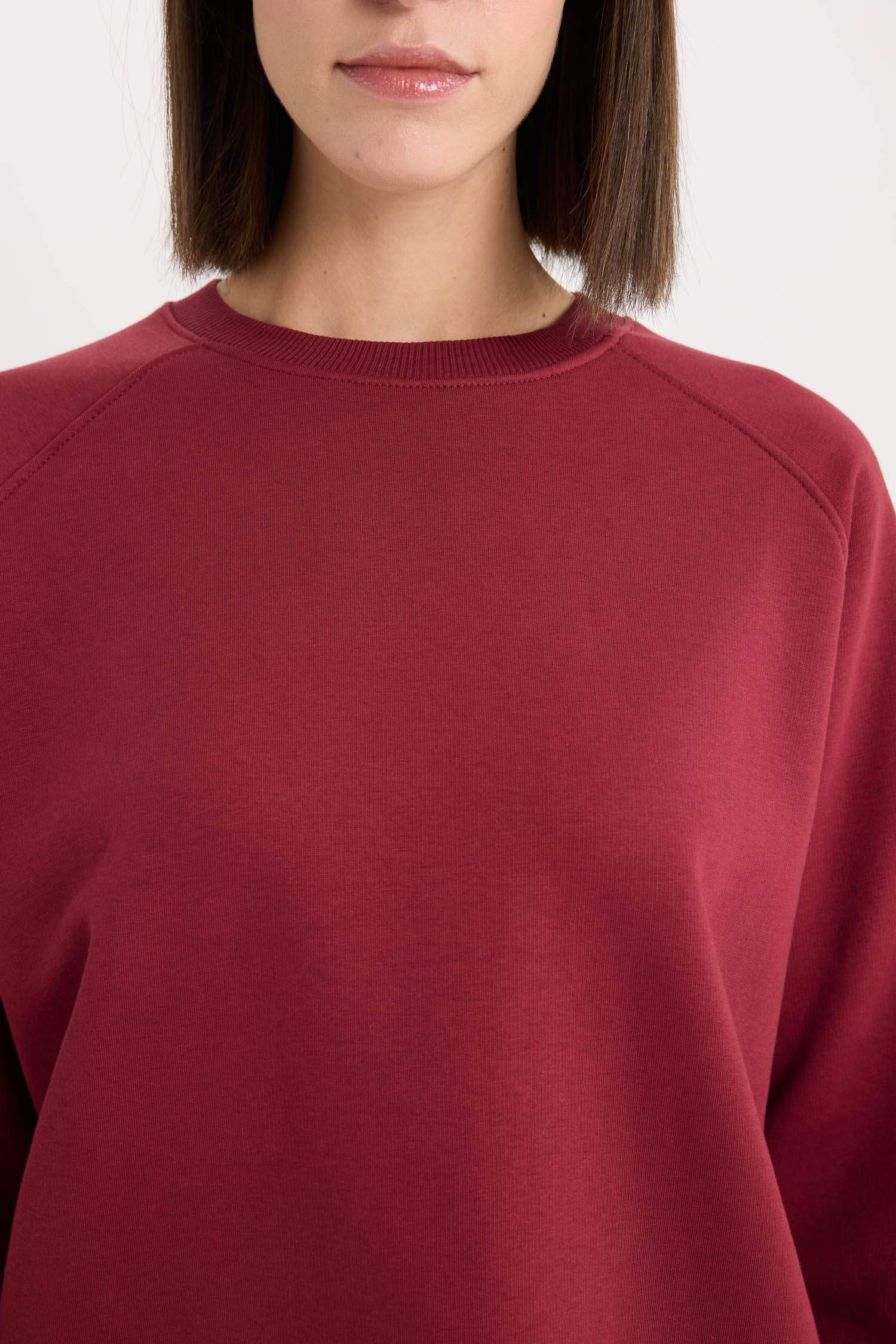 Oversize Fit Crew Neck Thick Sweatshirt